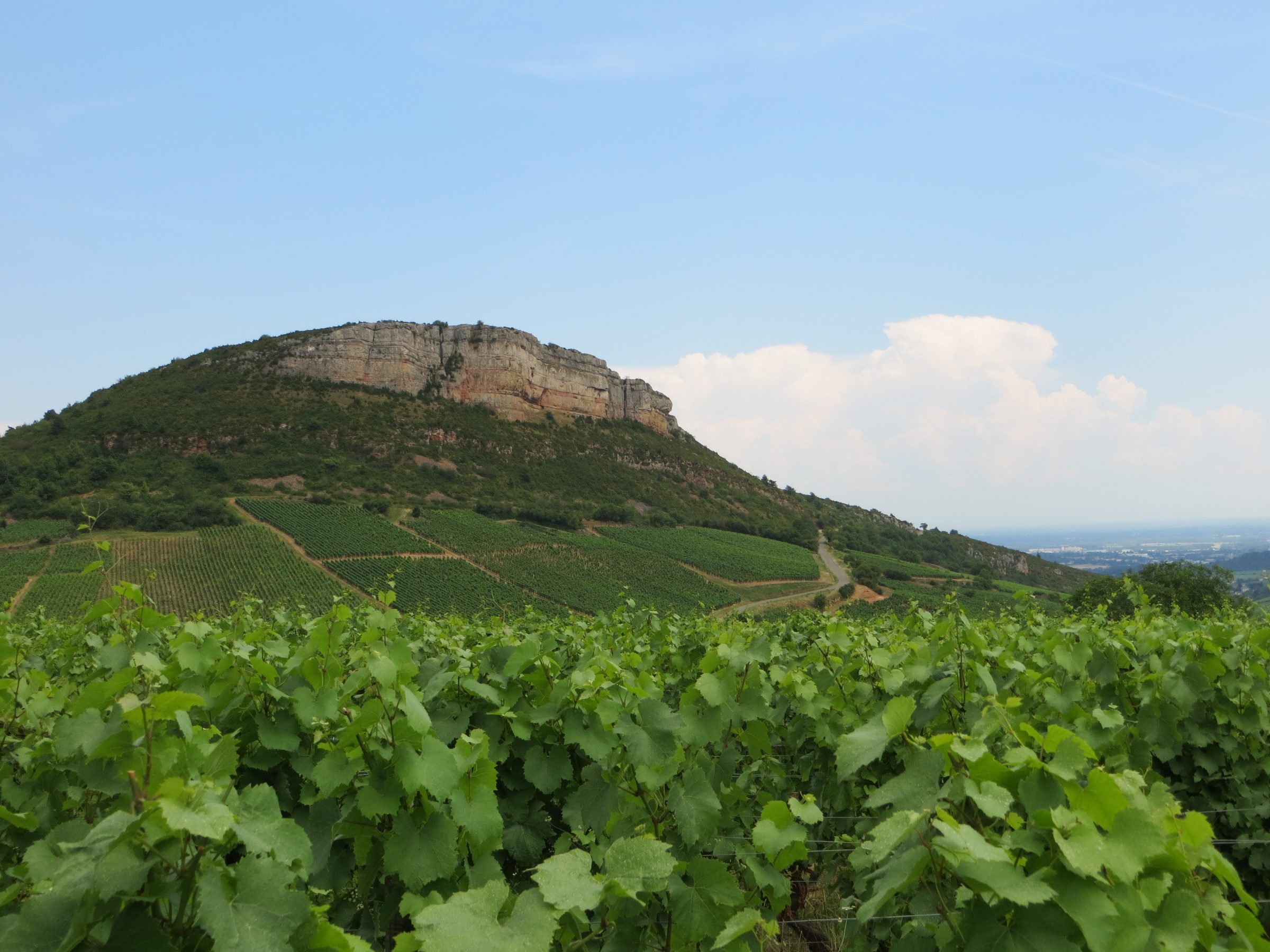 La Soufrandière – Weingut