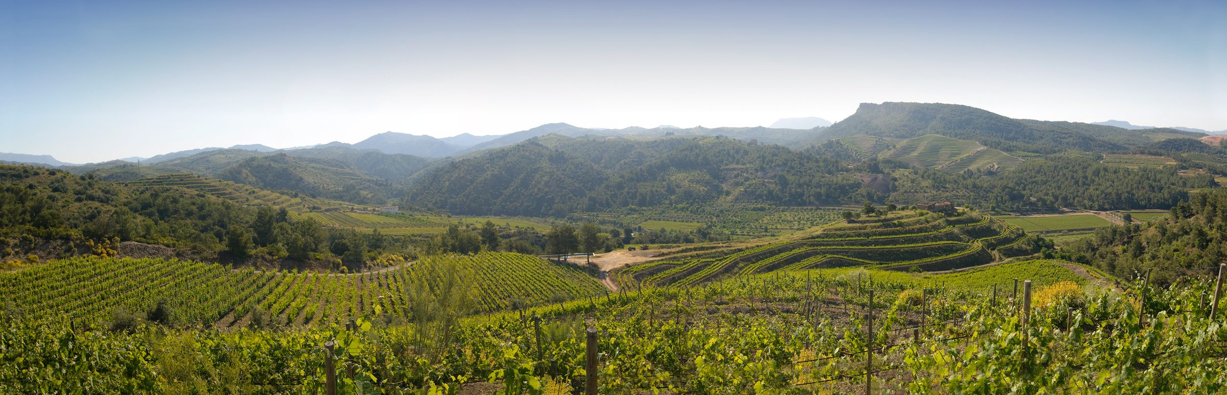 Portal del Priorat – Weingut