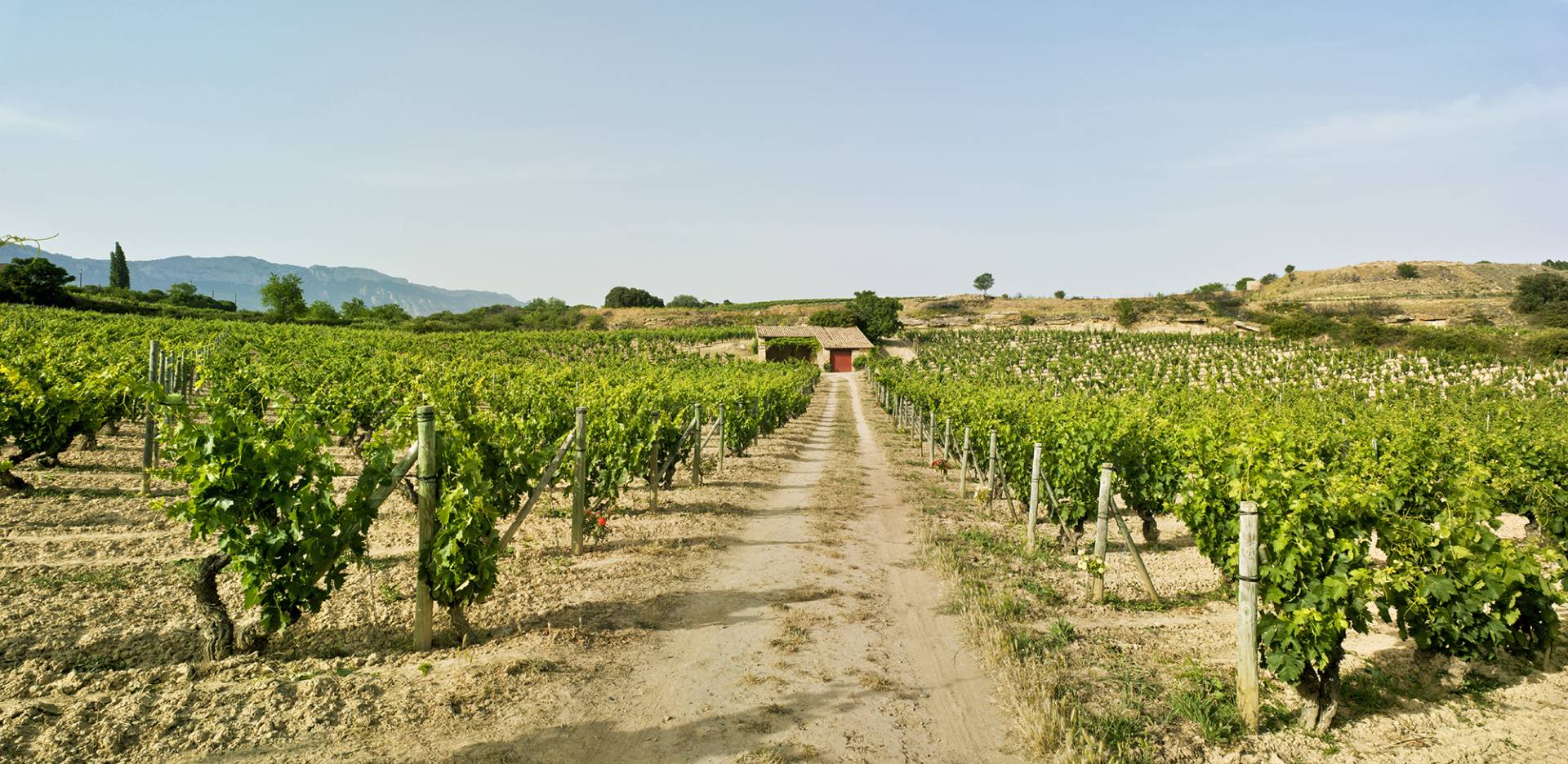 Artadi – Weingut