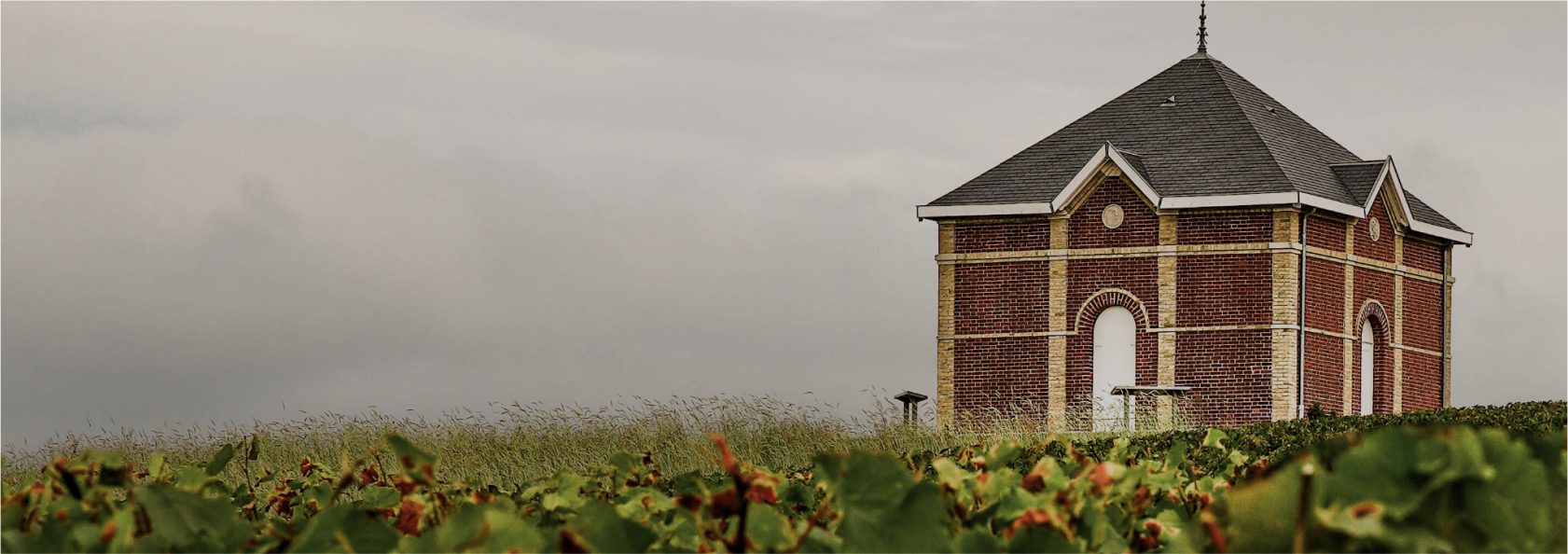 Clos des Papes – Weingut