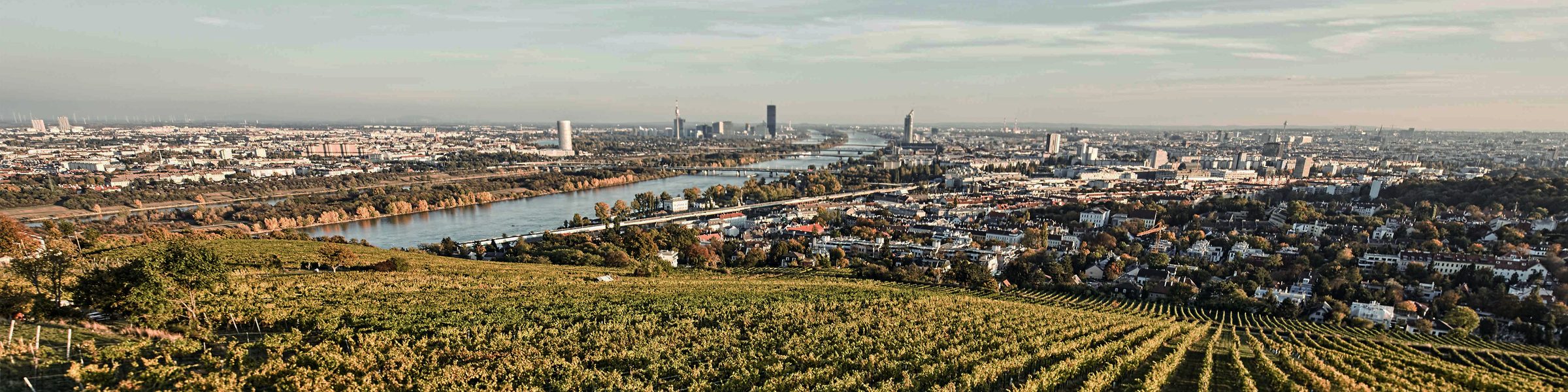 Hajszan Neumann – Weingut