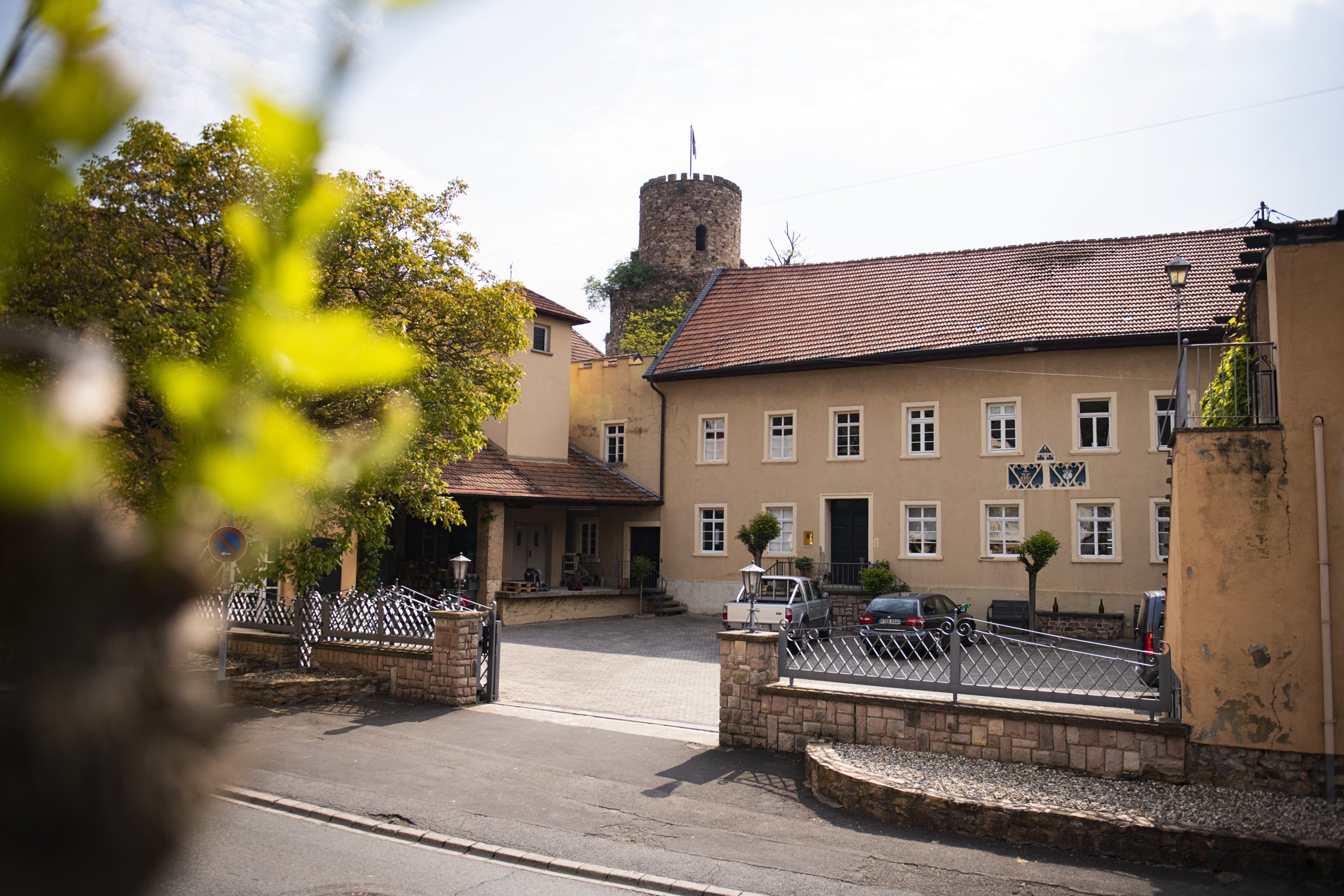 Schlossgut Diel – Weingut