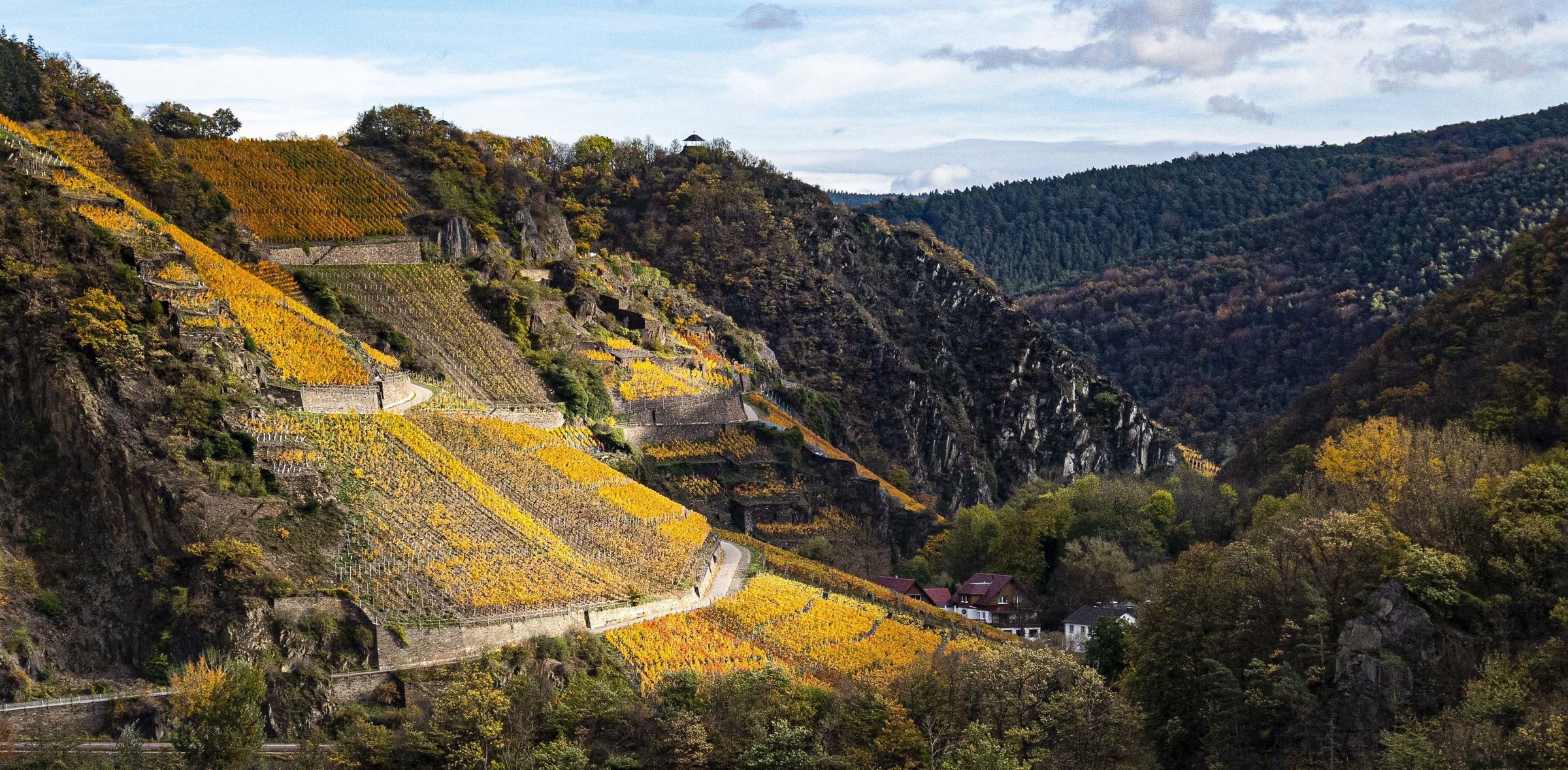 Bertram - Baltes – Weingut