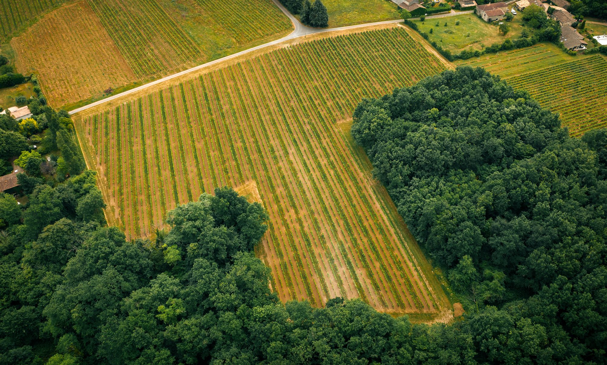 Closerie Saint Roc – Weingut