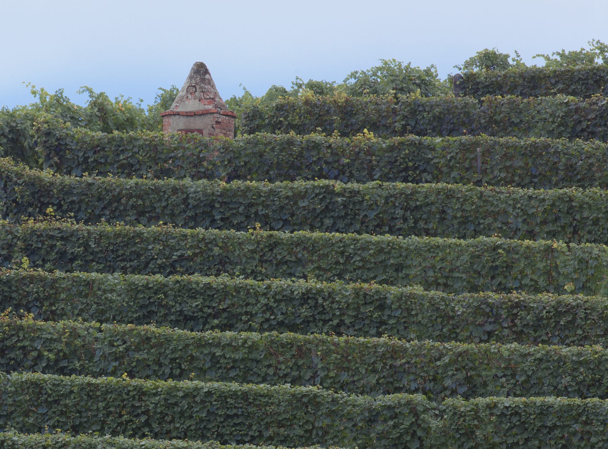 Chiara Boschis, E.Pira & Figli – Weingut
