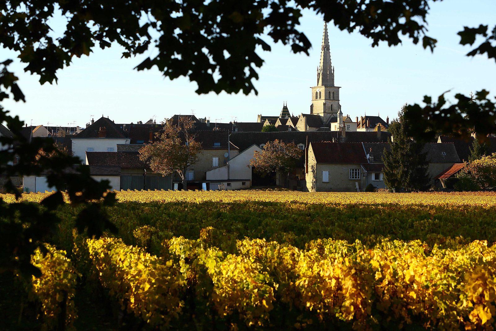 Chavy-Chouet – Weingut