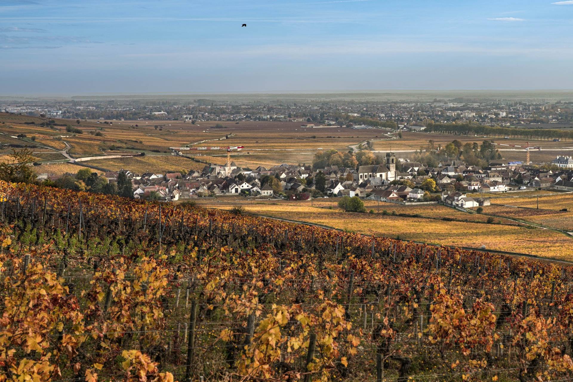 Jean-Marc & Thomas Bouley – Weingut
