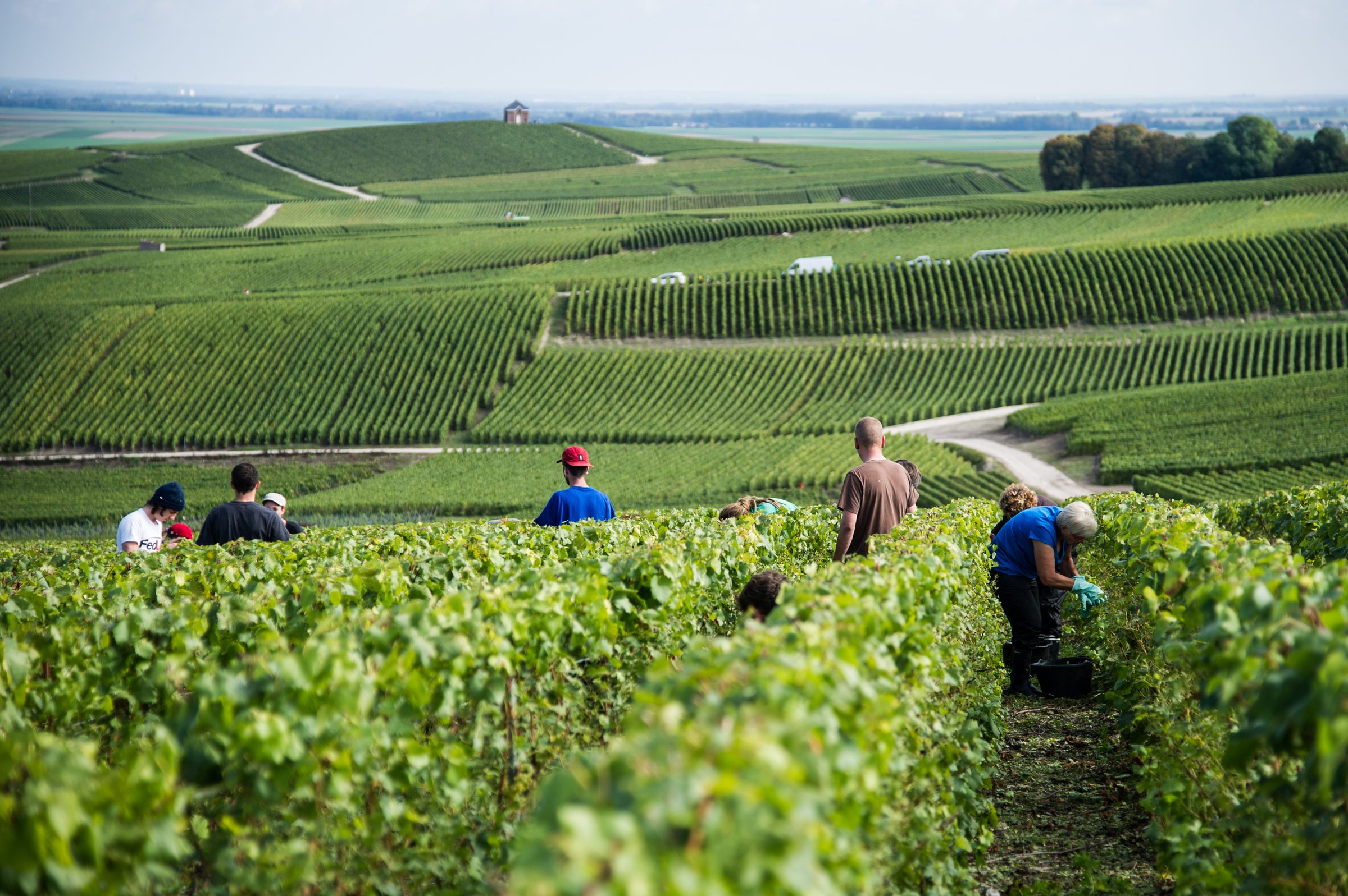 Vazart-Coquart & Fils – Weingut