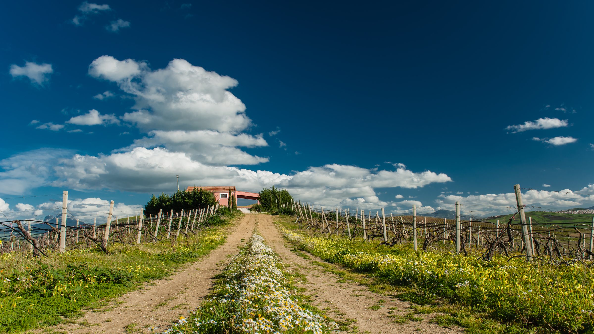 Case Alte – Weingut