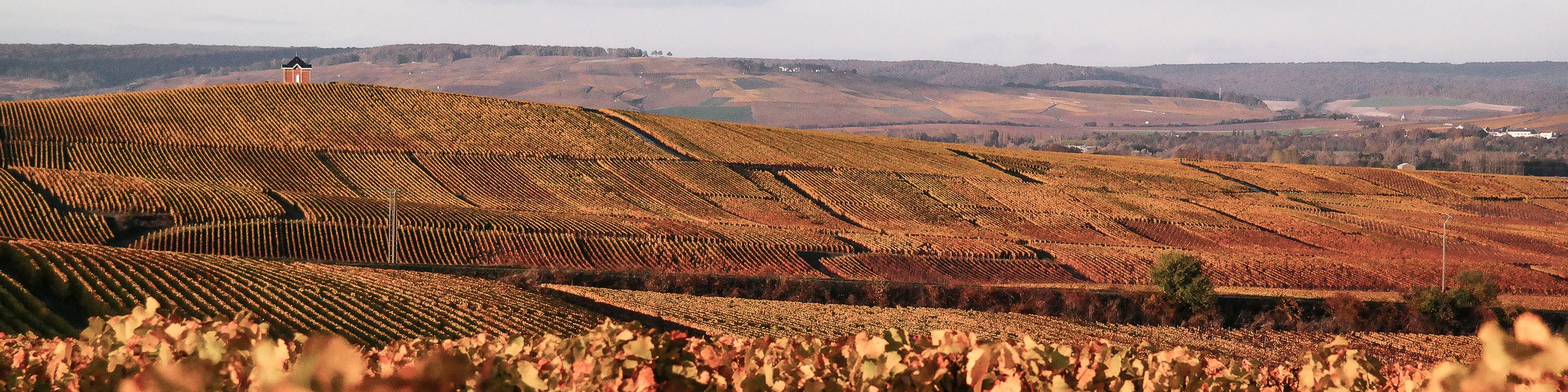 Waris-Larmandier – Weingut