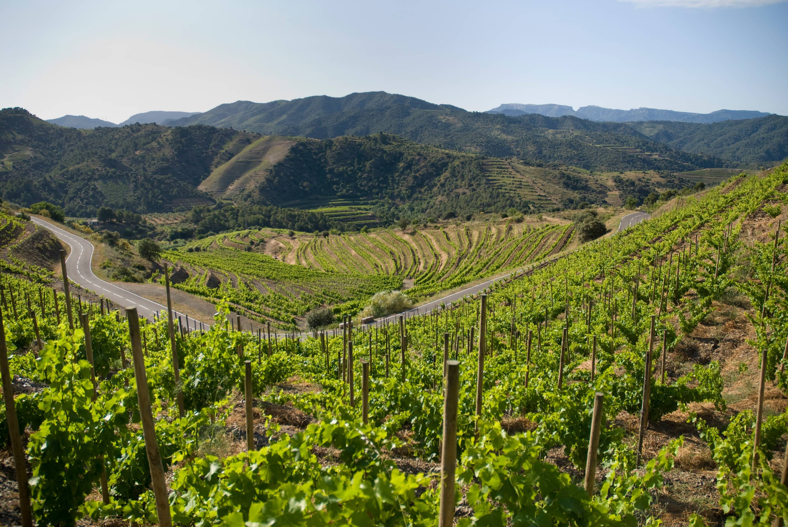 Trossos del Priorat – Weingut