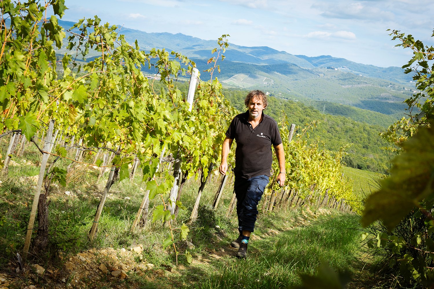 Tenuta di Carleone – Weingut