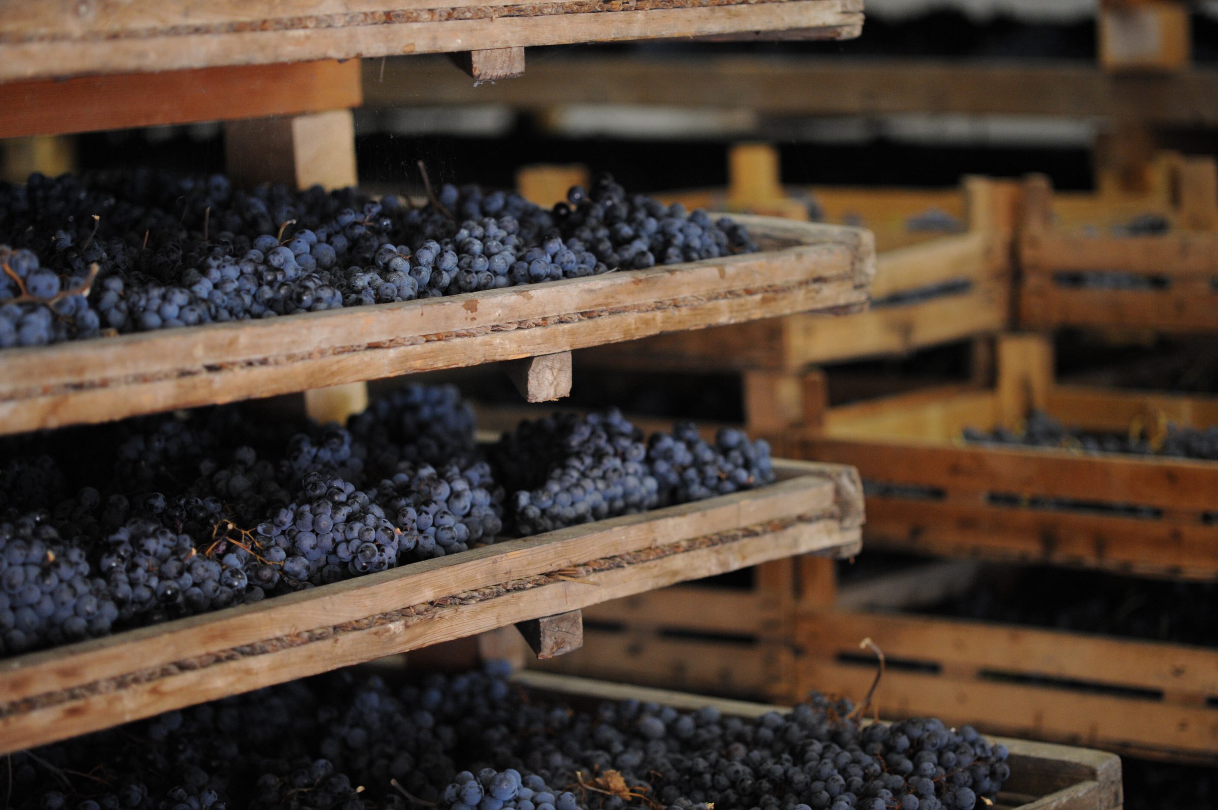 Weingut Ca´ La Bionda