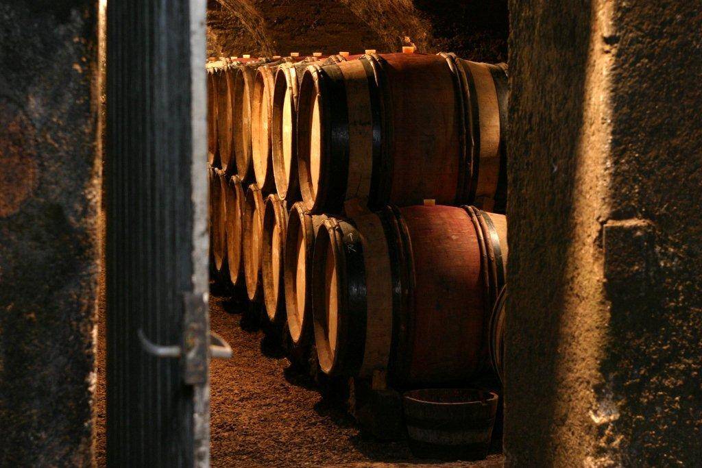 François de Nicolay – Weingut