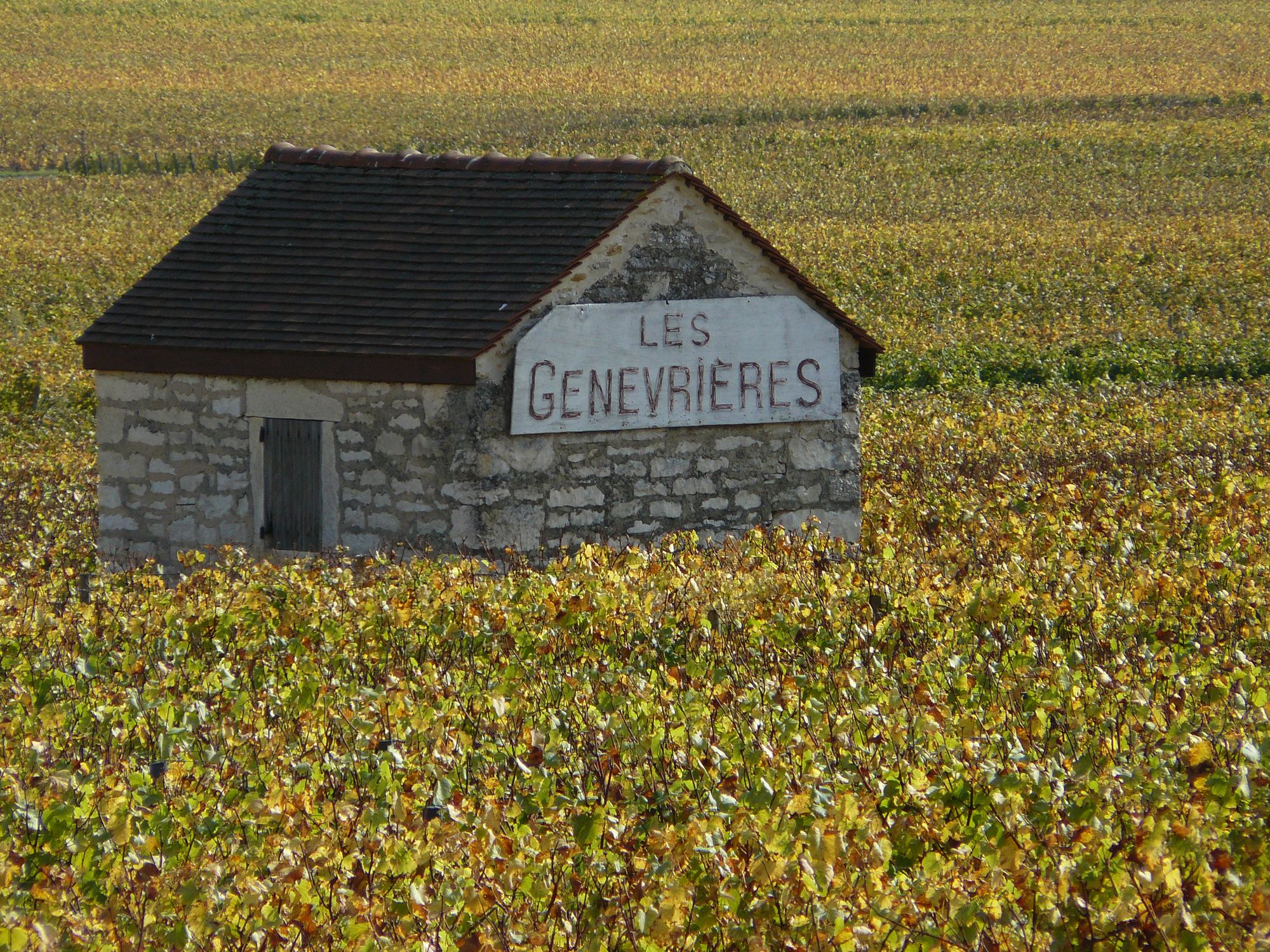 Rémi Jobard – Weingut