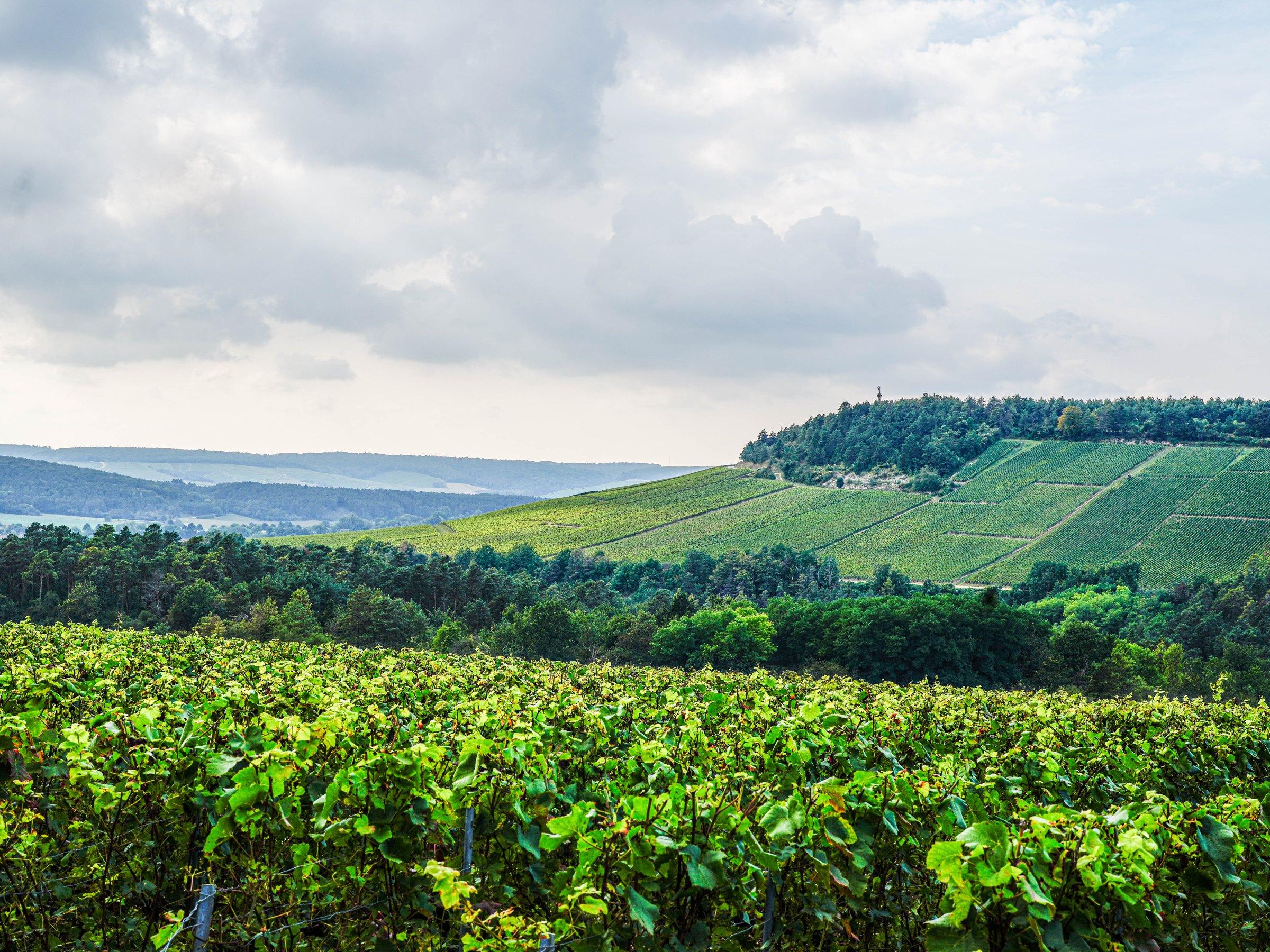 de Bichery – Weingut