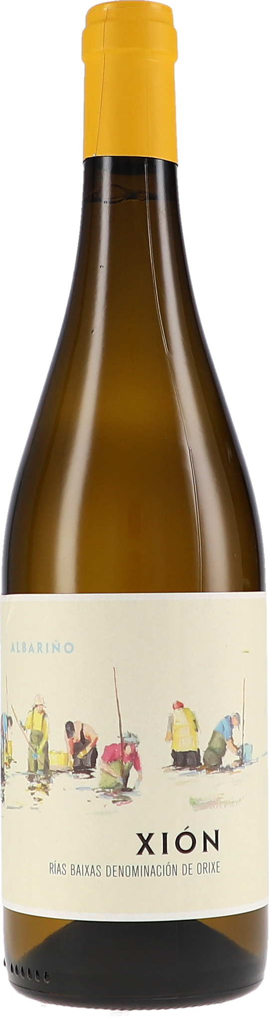 Attis Bodegas y Vinedos Xión 2025