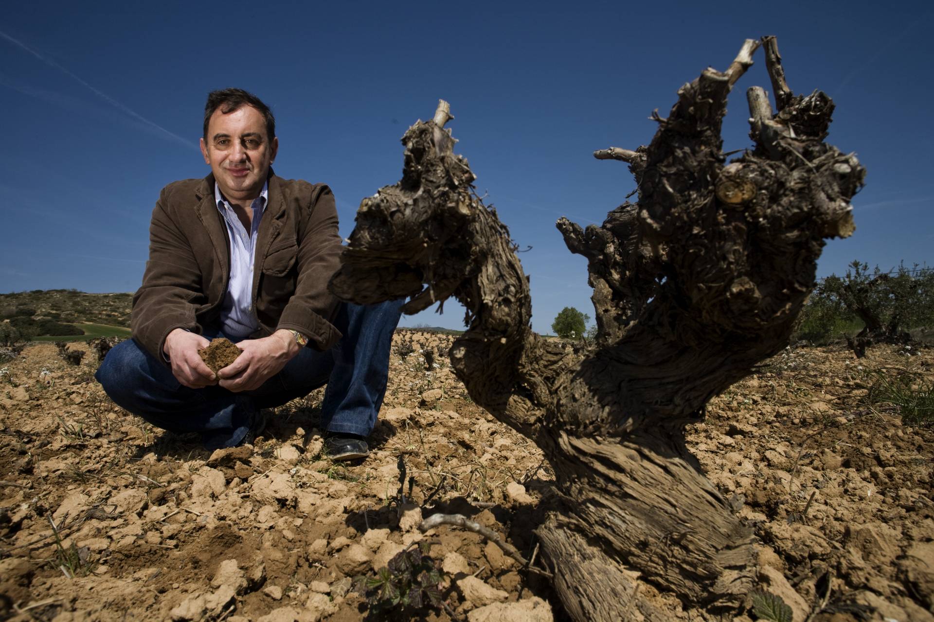 Laderas de Montejurra - Emilio Valerio – Weingut