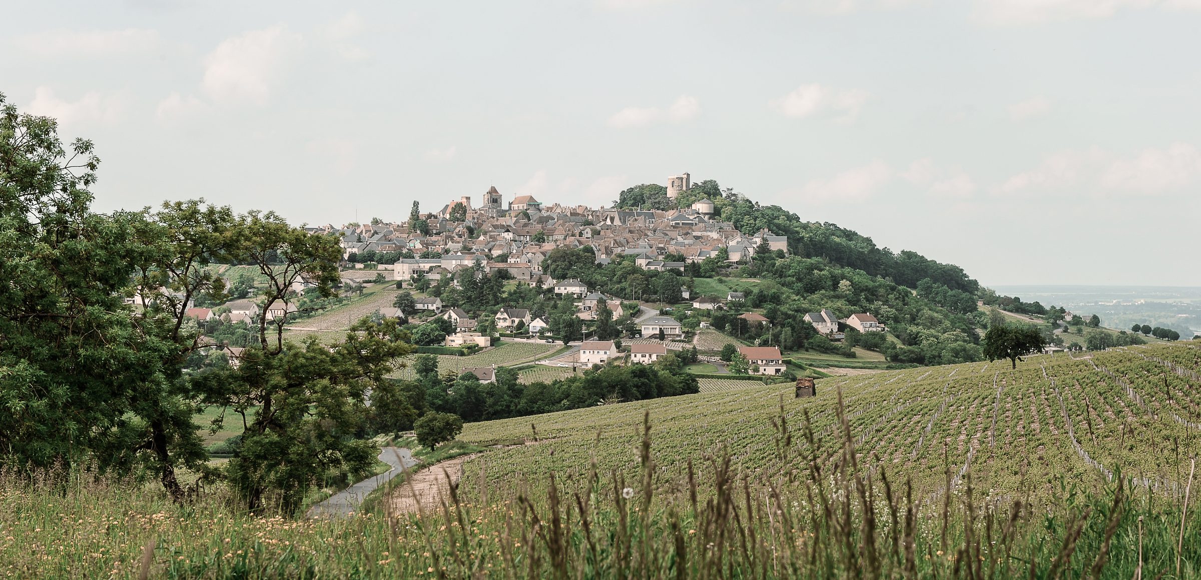 Matthias Planchon – Weingut