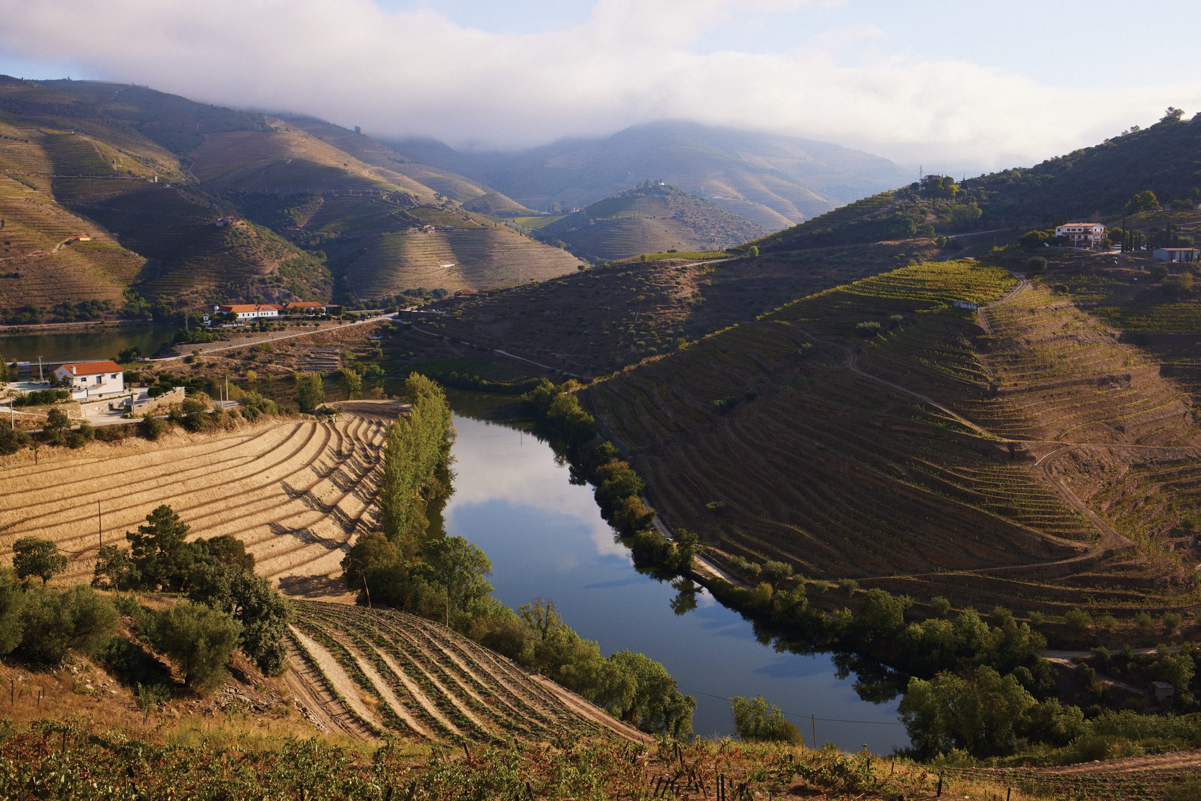 Quinta de Nápoles - Niepoort – Weingut