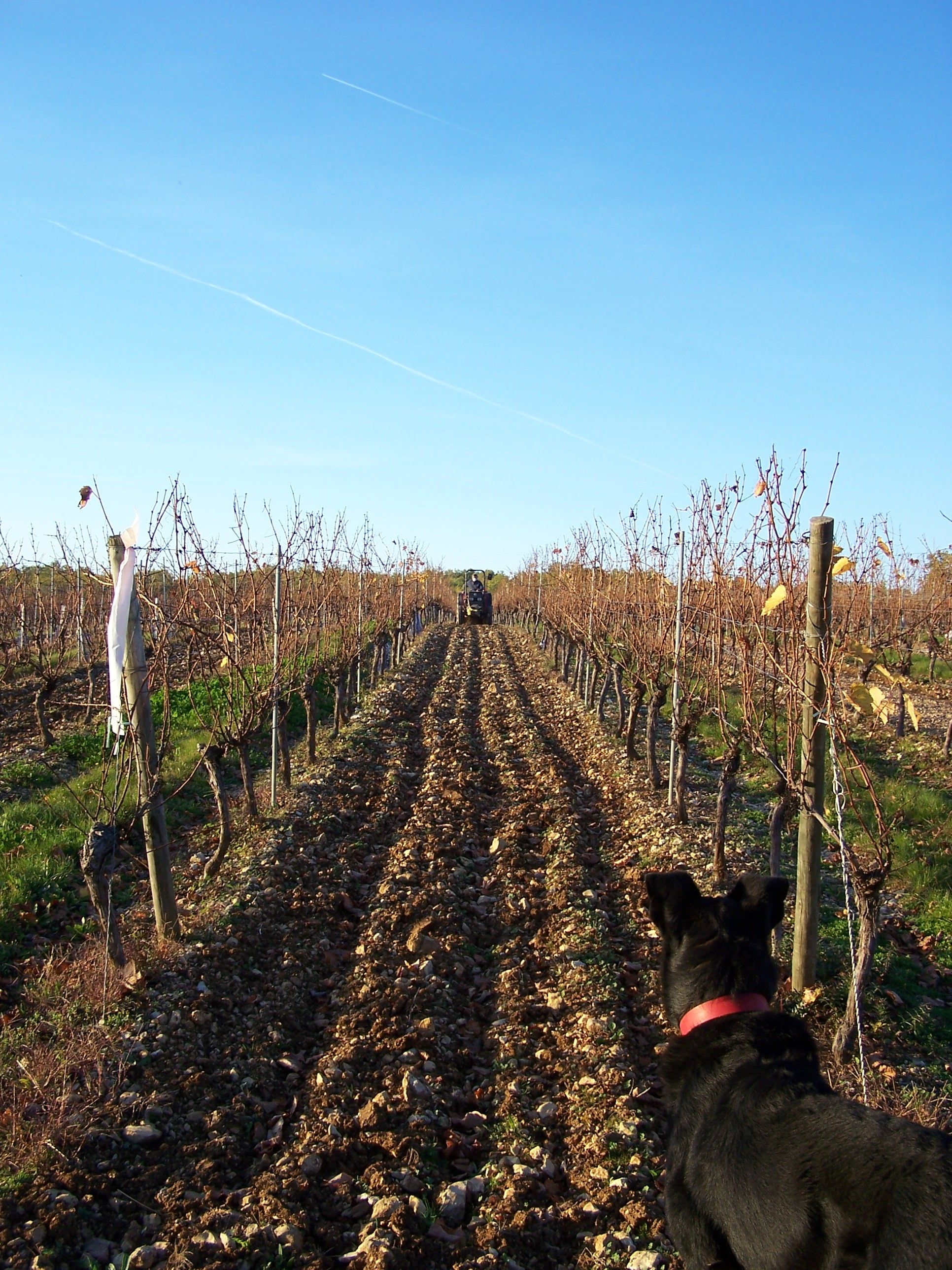 Clos Troteligotte – Weingut