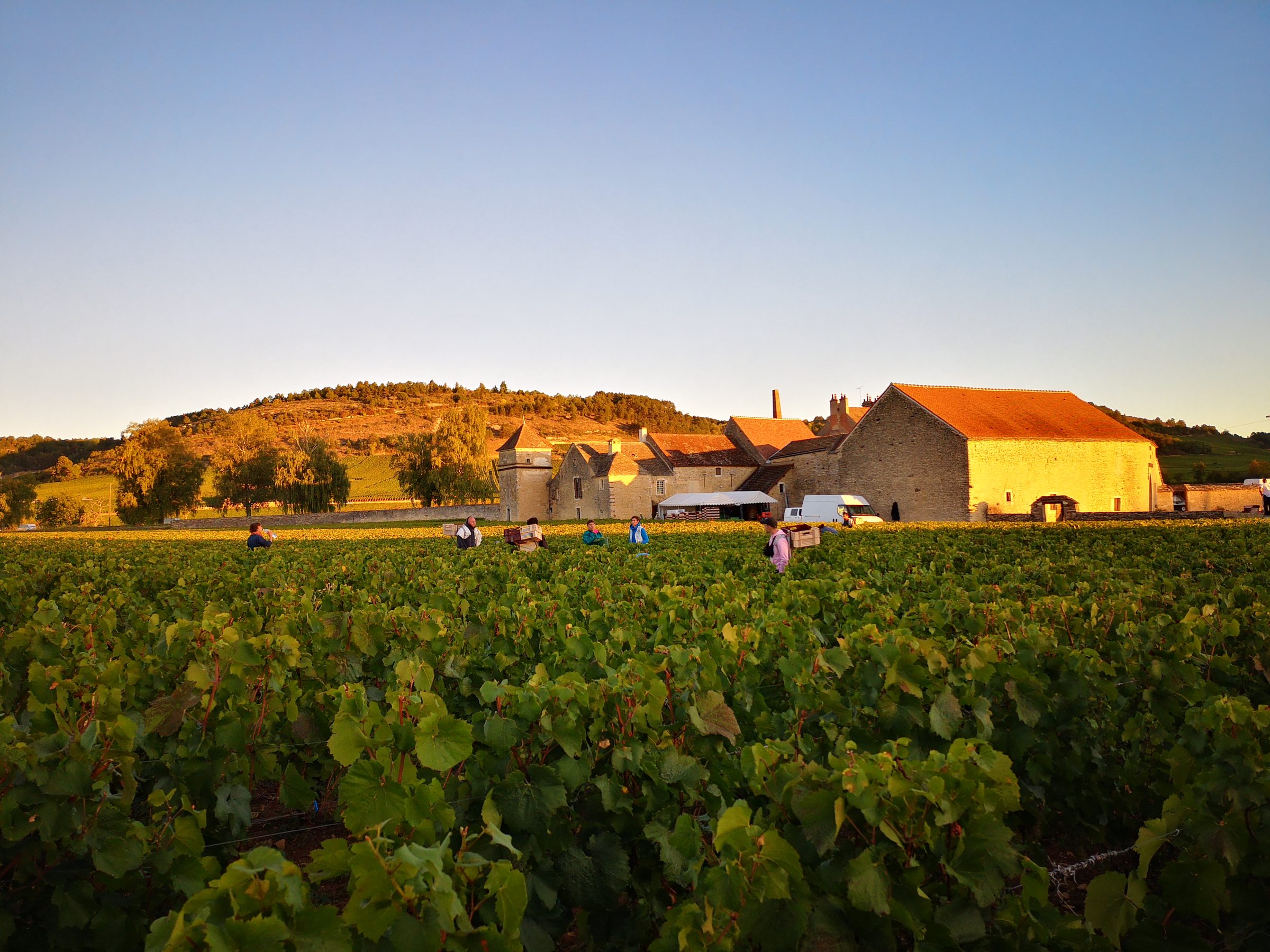 Clos du Moulin aux Moines – Weingut