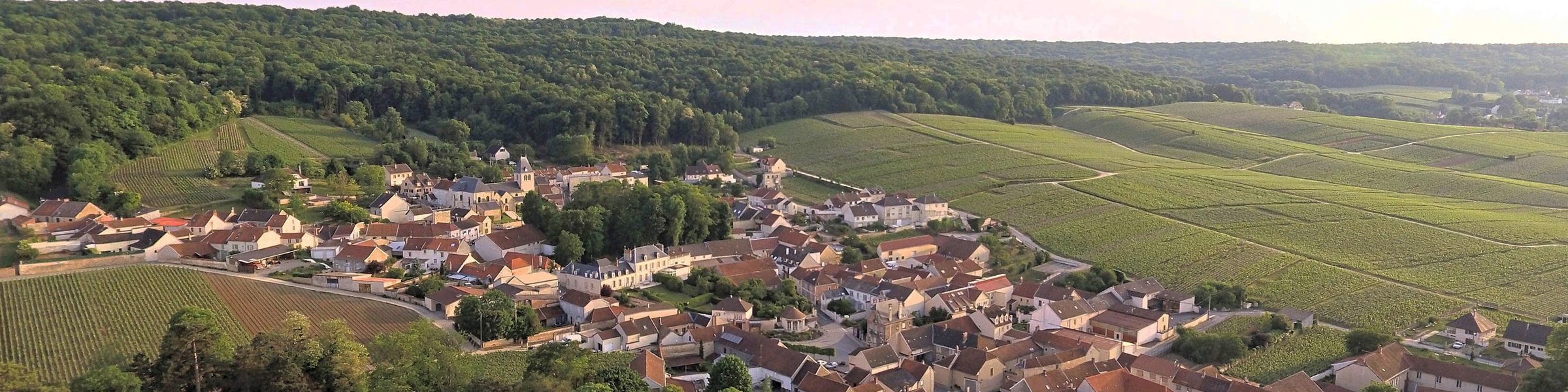 Huré Frères – Weingut