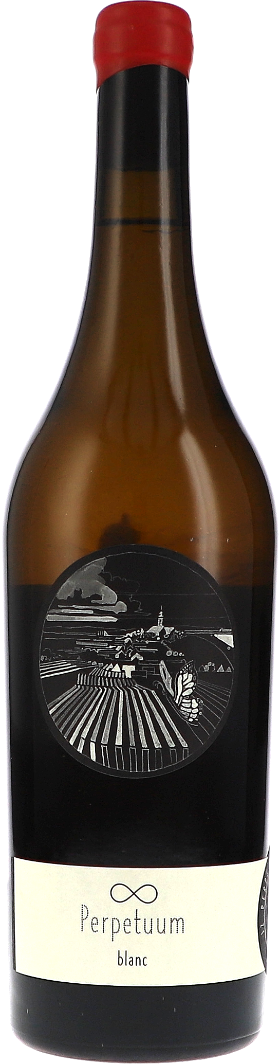Johannes Zillinger Perpetuum blanc 2020