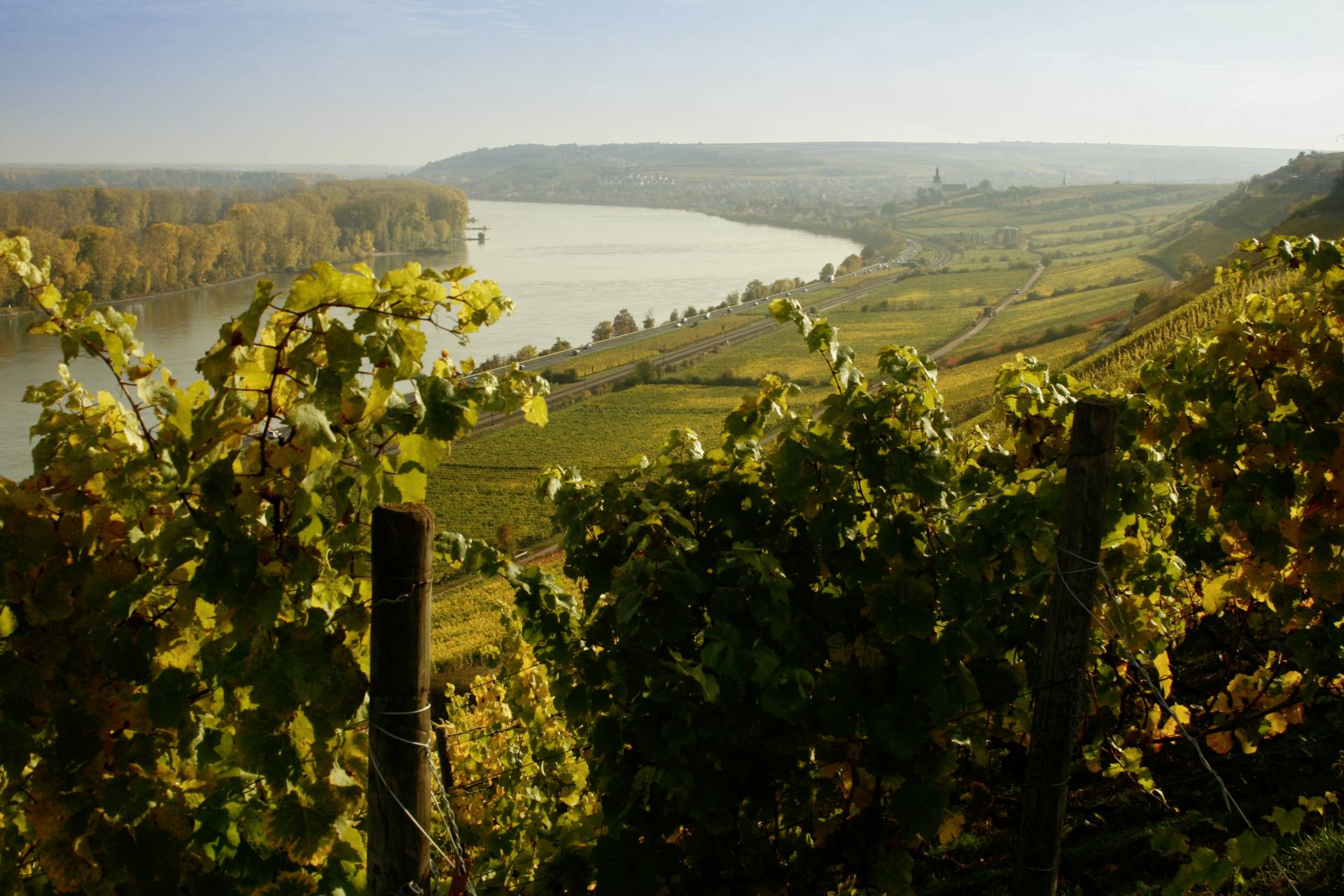 Kühling-Gillot – Weingut