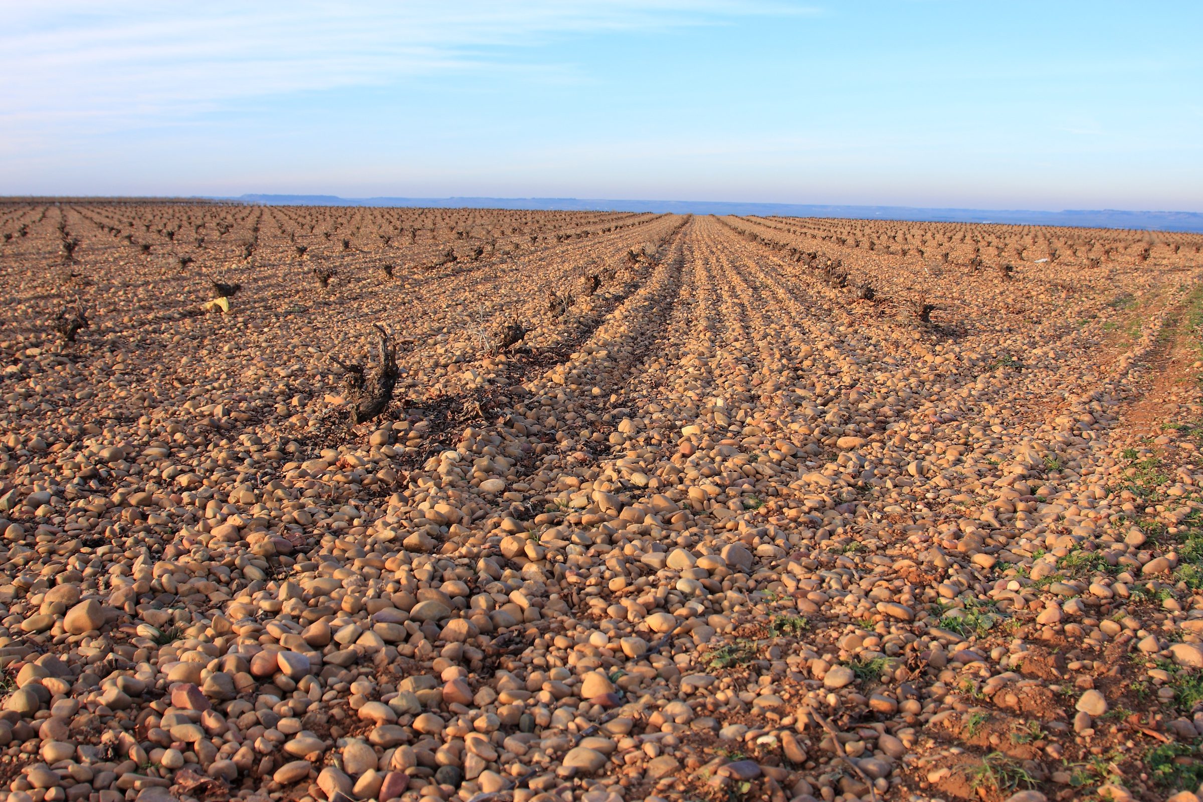 Quinta de la Quietud – Weingut