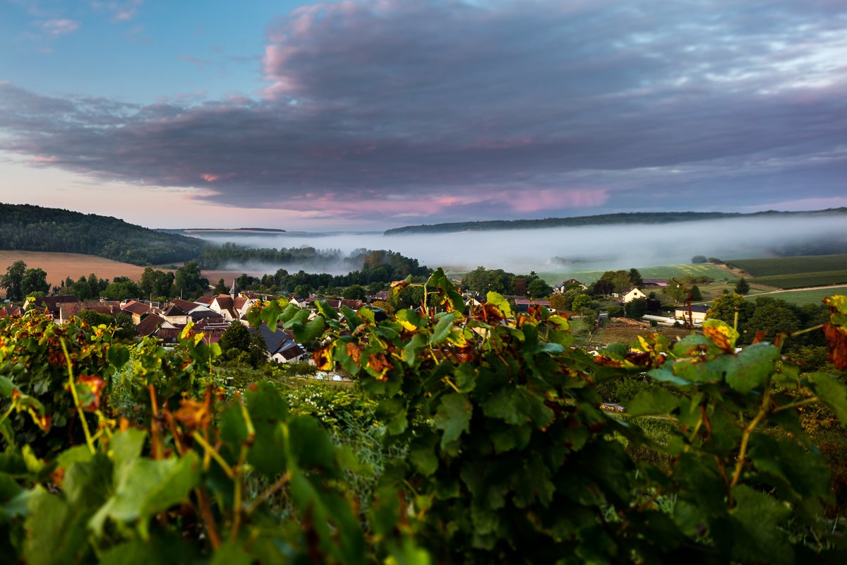 Vouette & Sorbée – Weingut