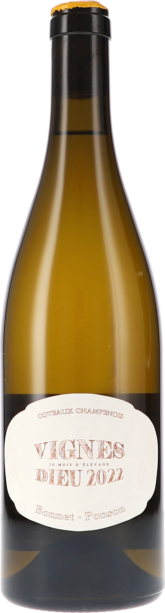 Bonnet-Ponson Vignes Dieu Blanc, Coteaux Champenois 2022
