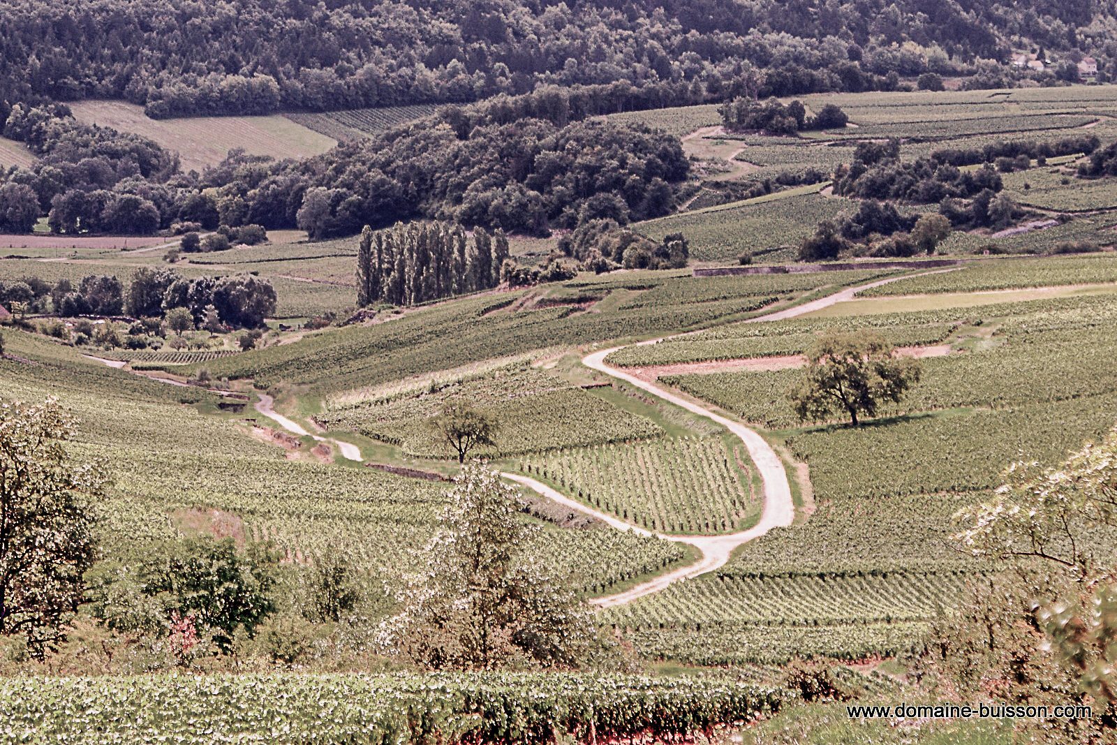 Henri & Gilles Buisson – Weingut