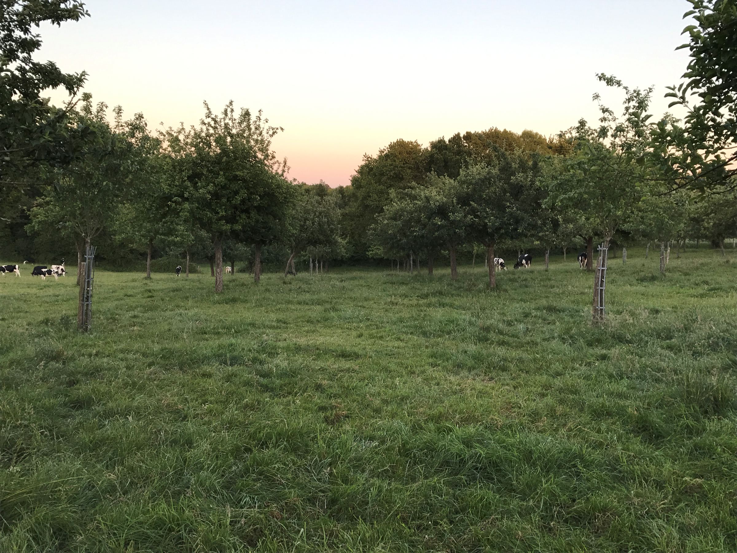 Lesuffleur – Weingut
