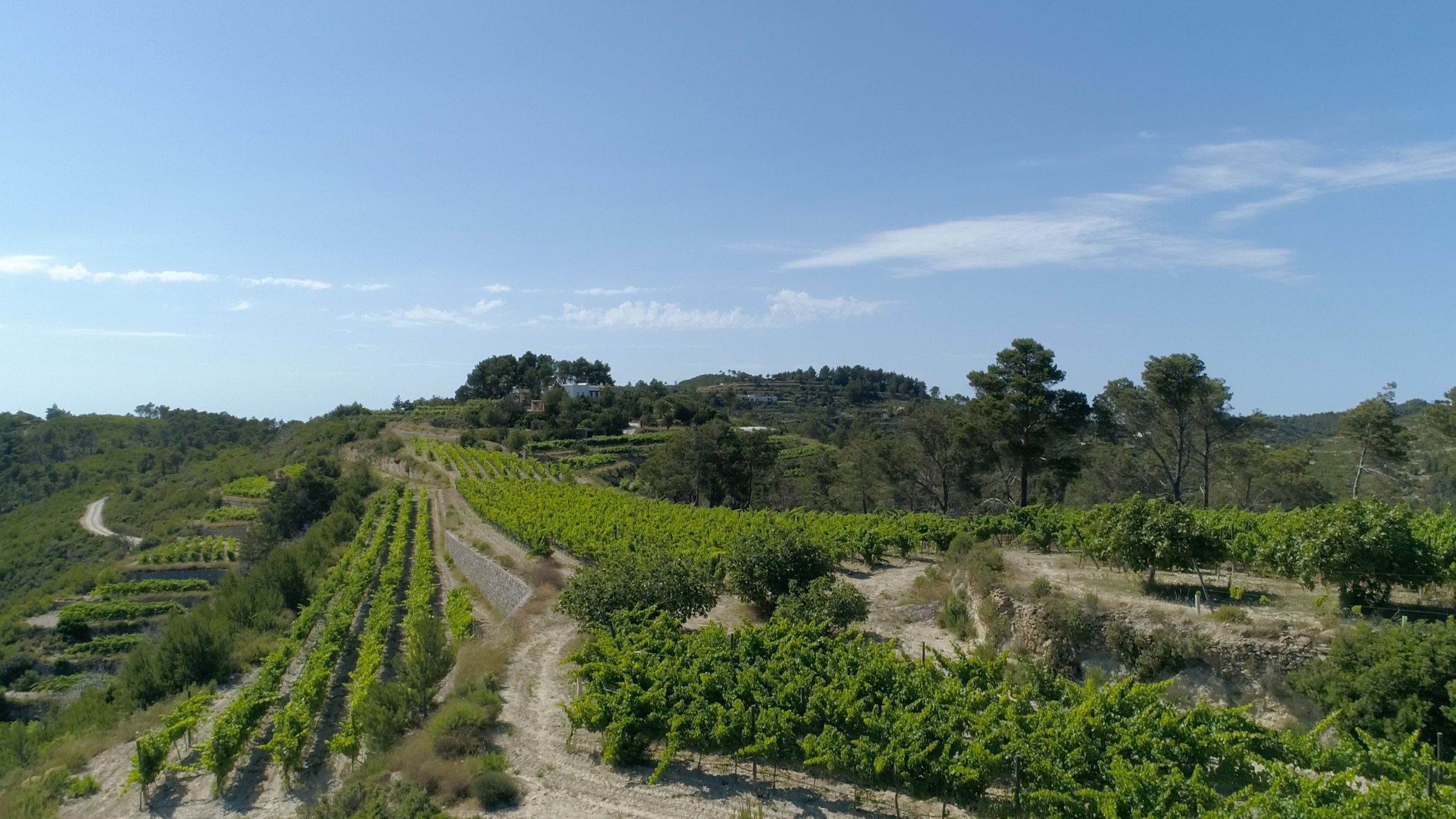 Blacknose – Weingut
