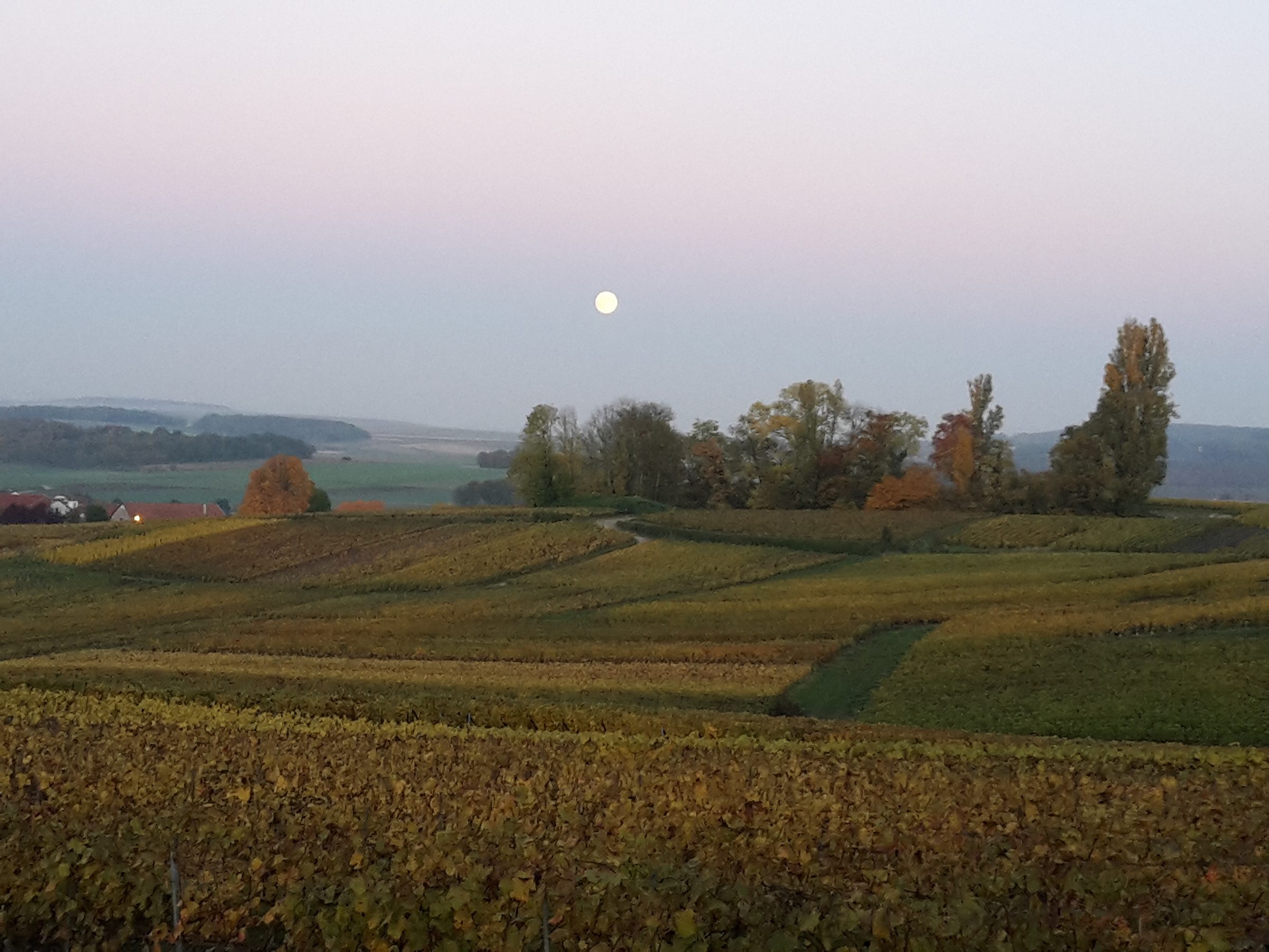 Solemme – Weingut
