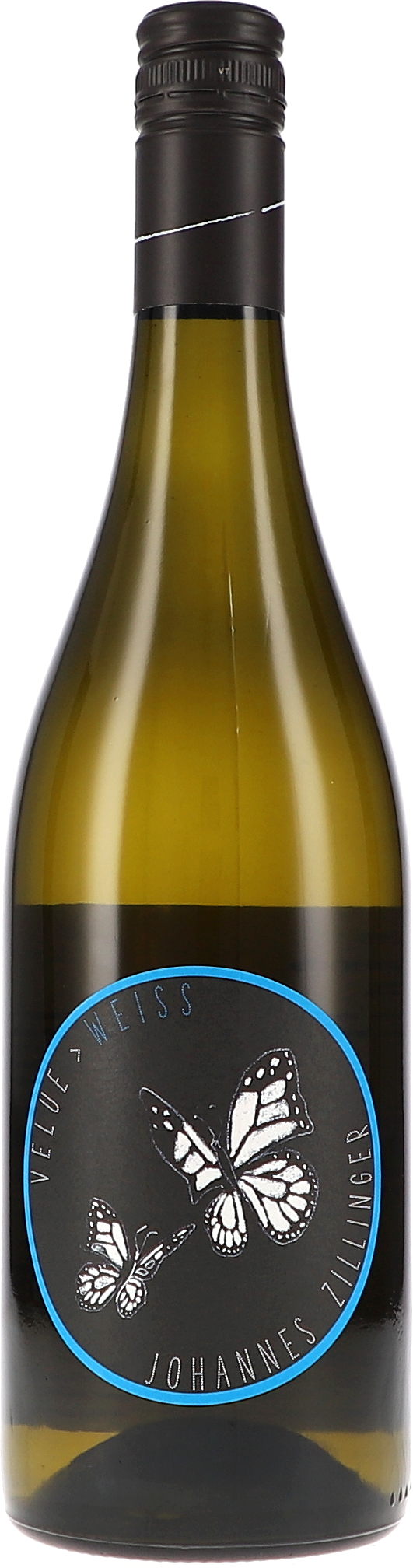 Johannes Zillinger Velue weiss 2024
