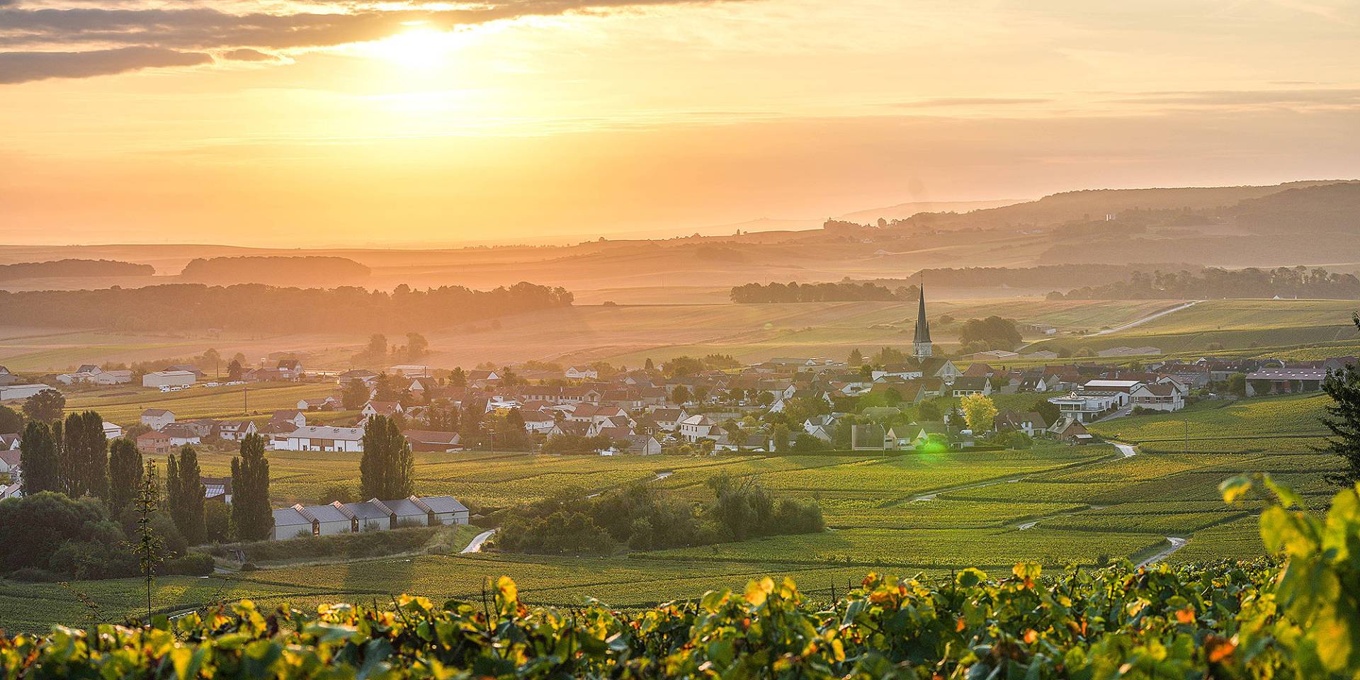 Domaine Lejeune – Weingut
