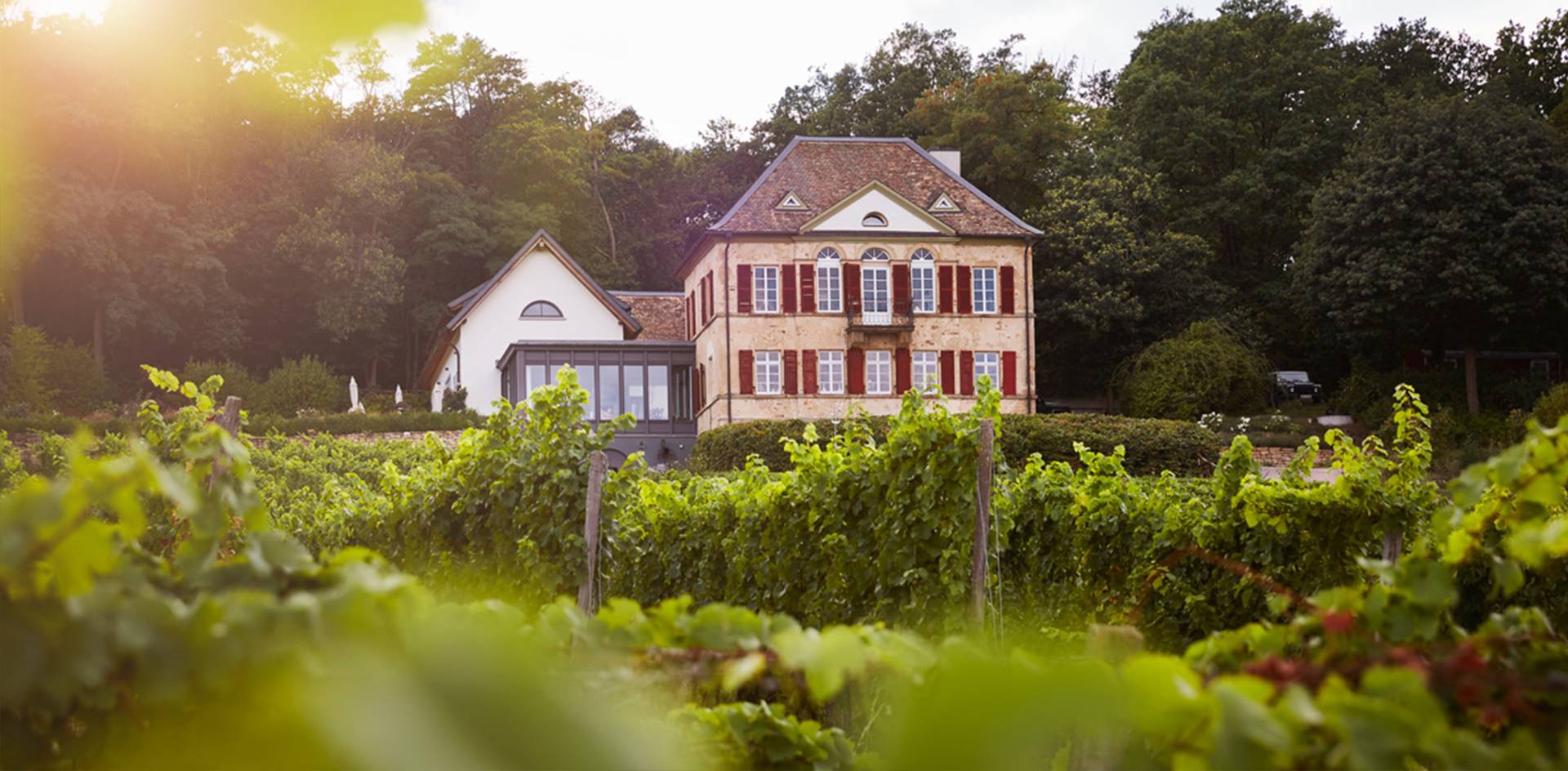 Odinstal – Weingut