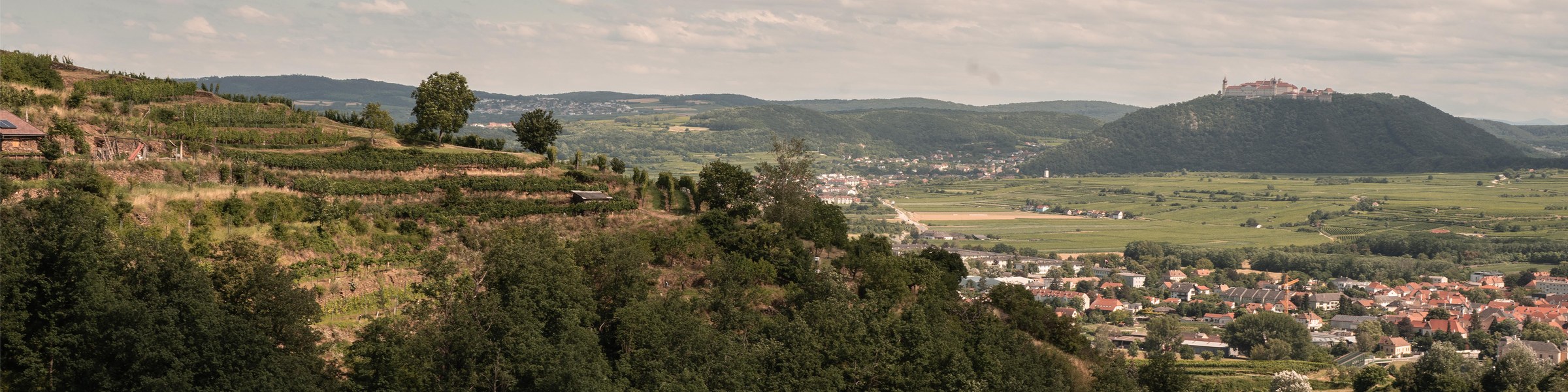 HM Lang – Weingut