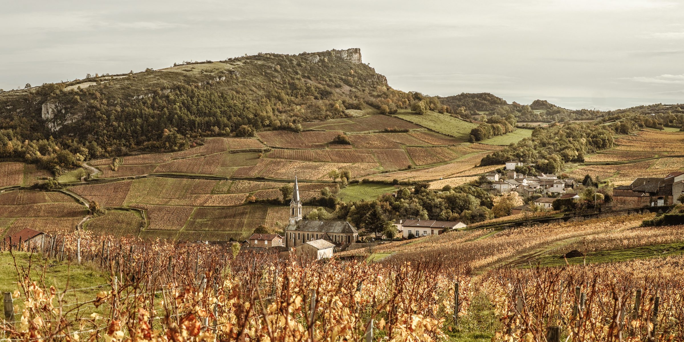 Charlopin Tissier – Weingut