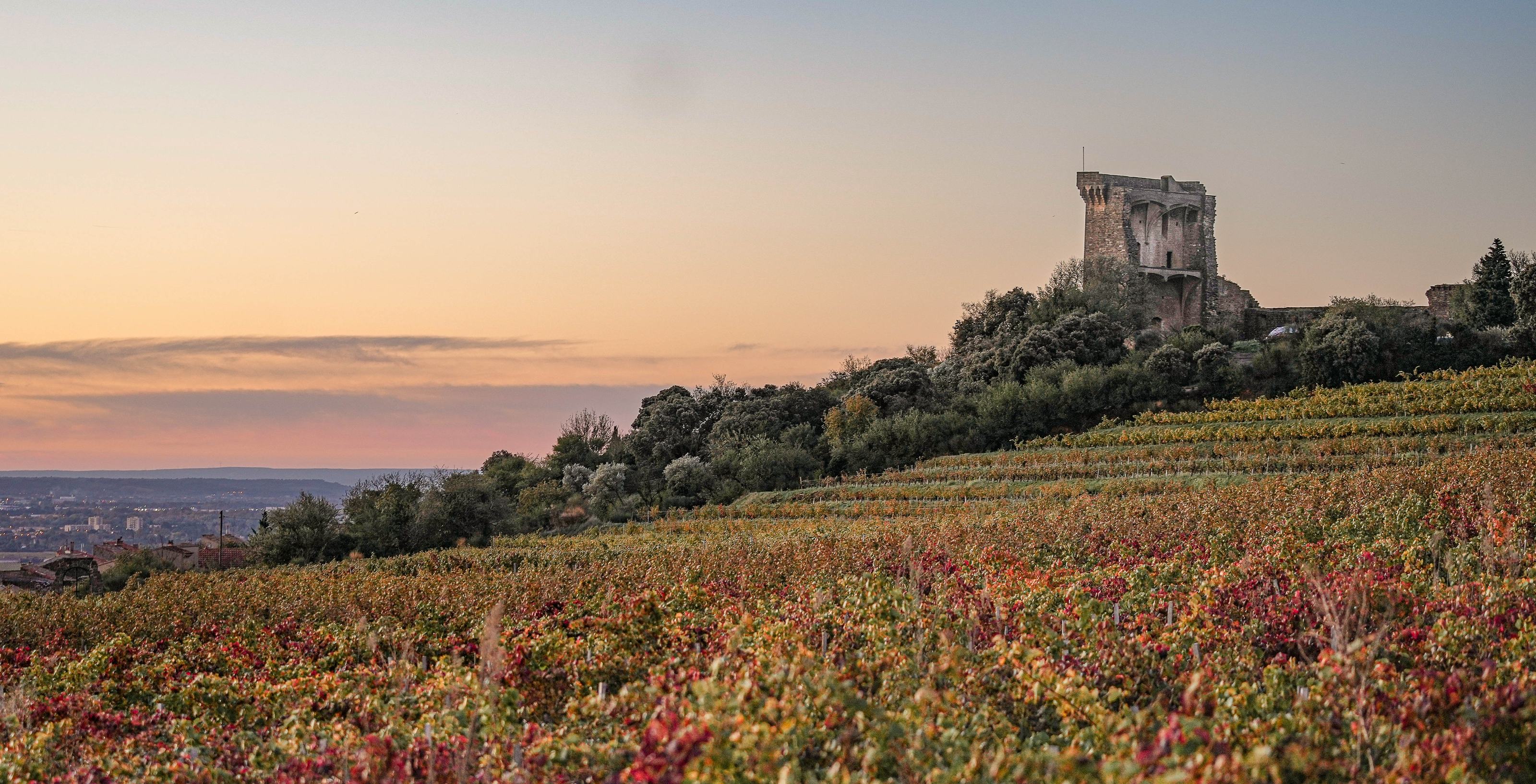 Domaine de Marcoux – Weingut