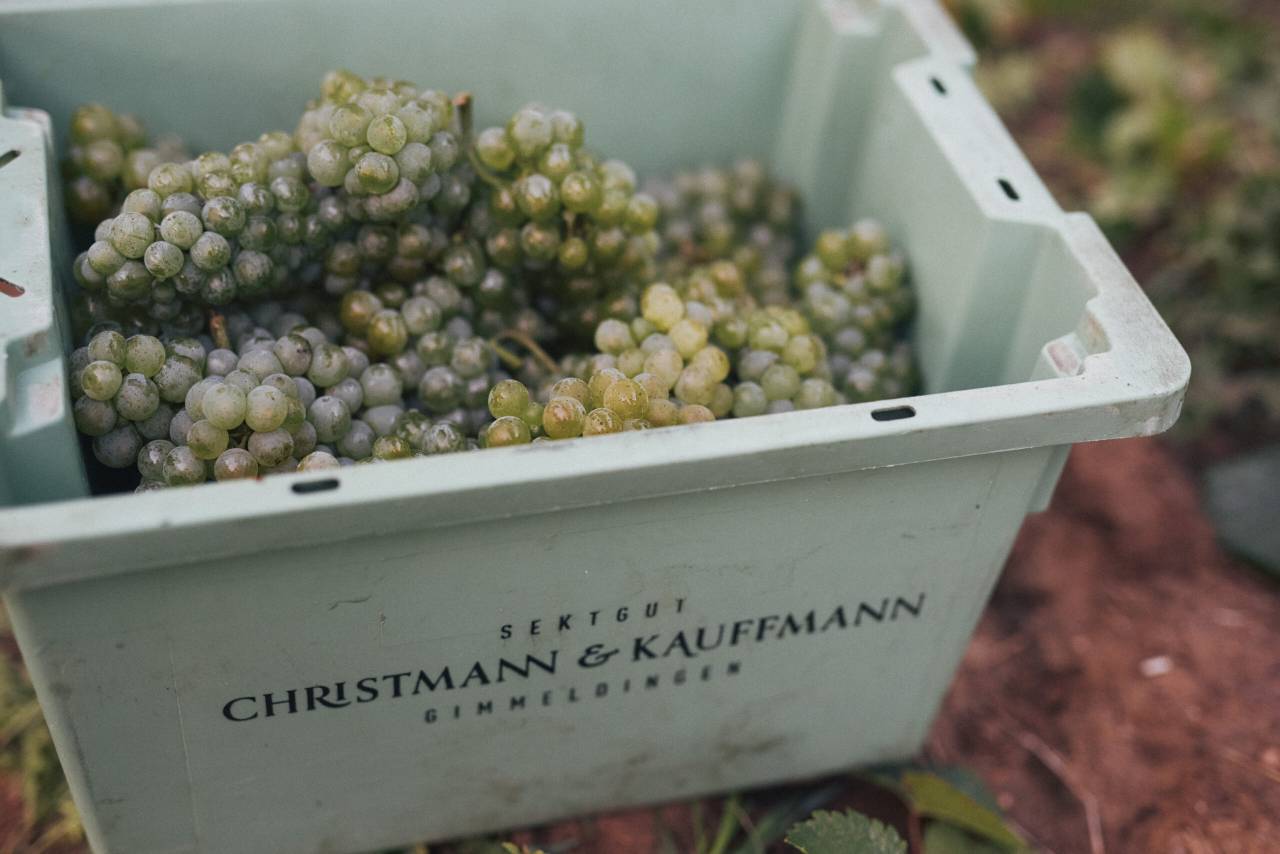 Christmann & Kauffmann – Weingut