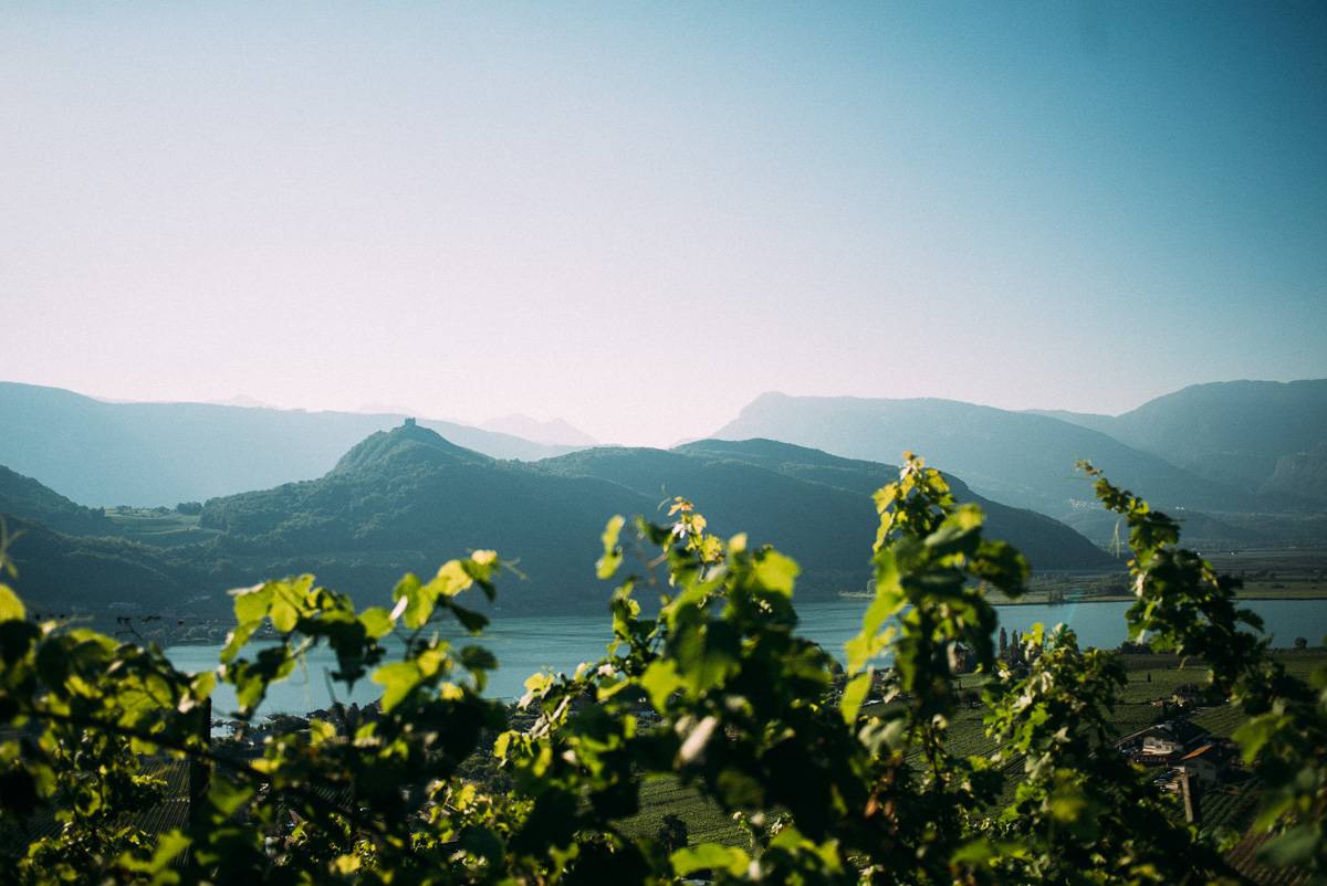 Alois Lageder – Weingut