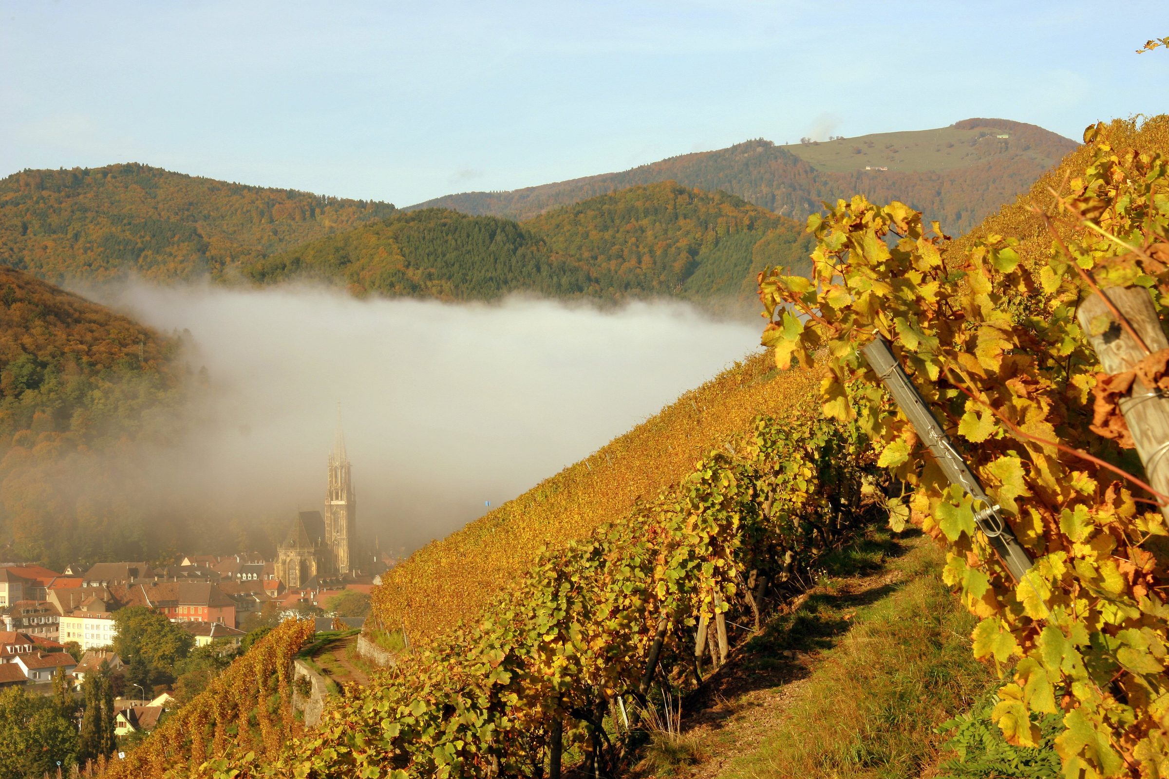 Domaine Zind-Humbrecht – Weingut