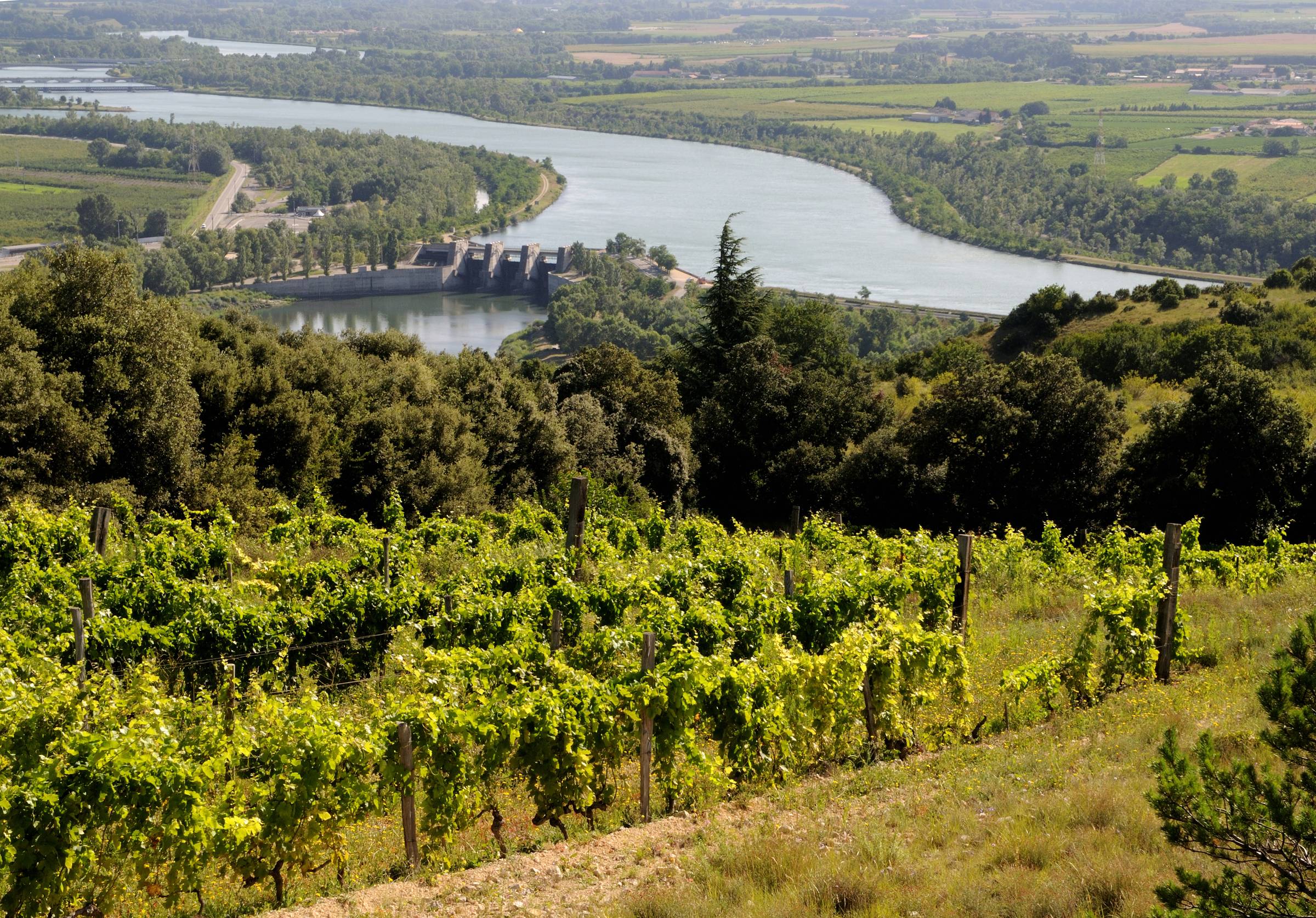 Domaine du Coulet – Weingut