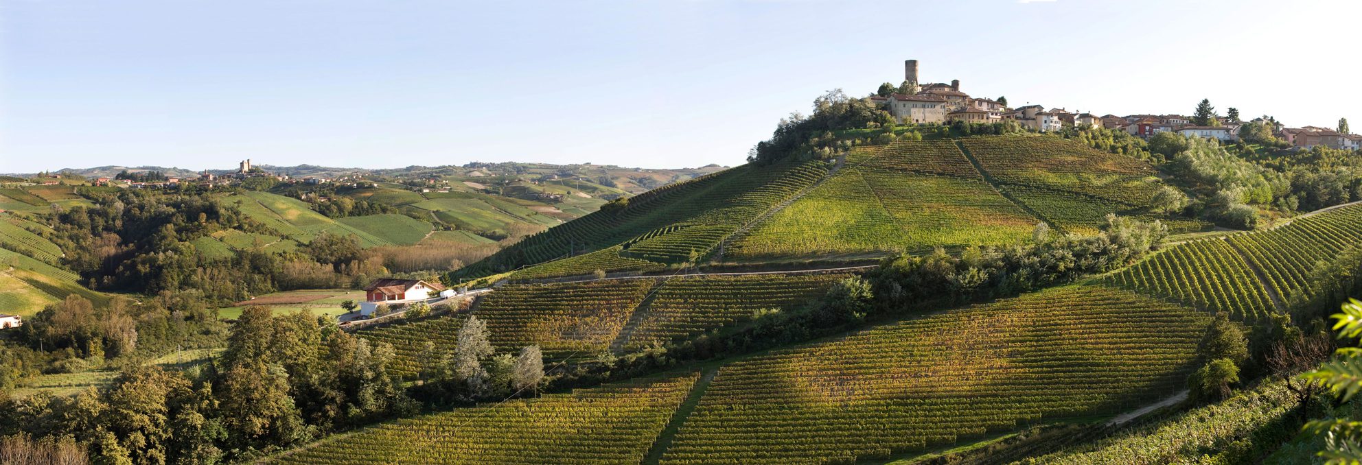 Vietti – Weingut