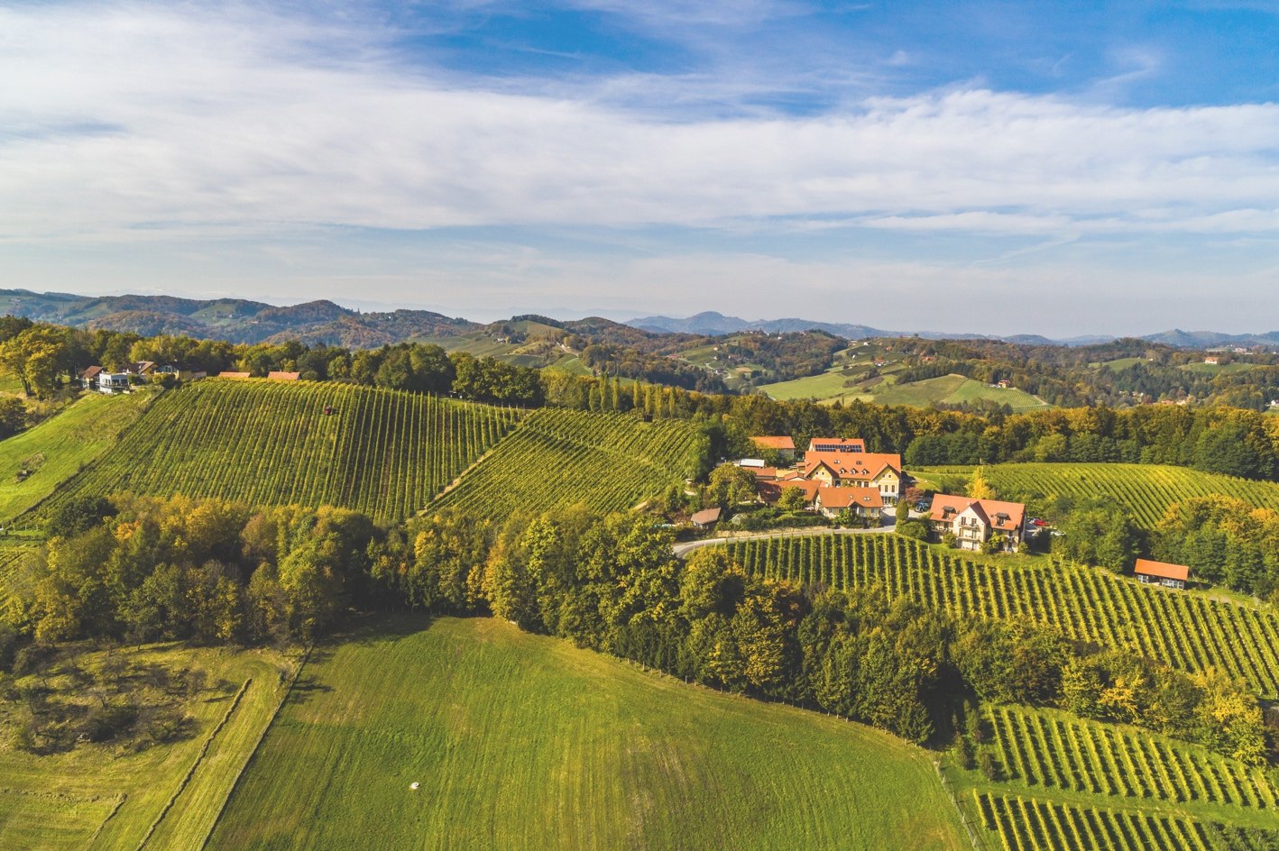Sattlerhof – Weingut