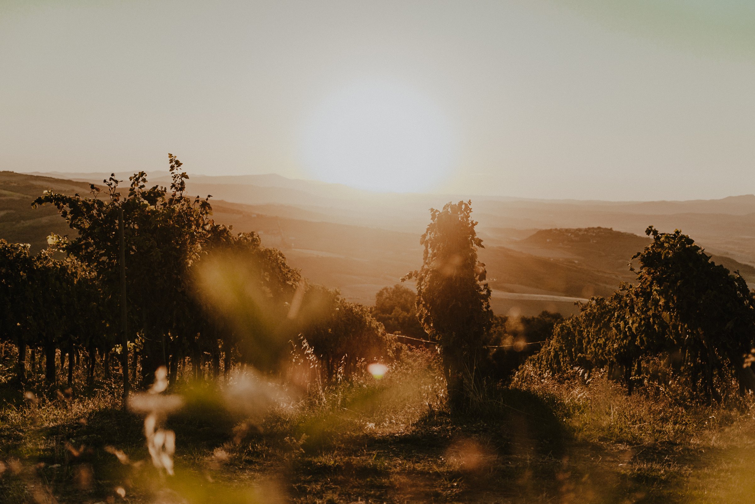 Bakkanali – Weingut