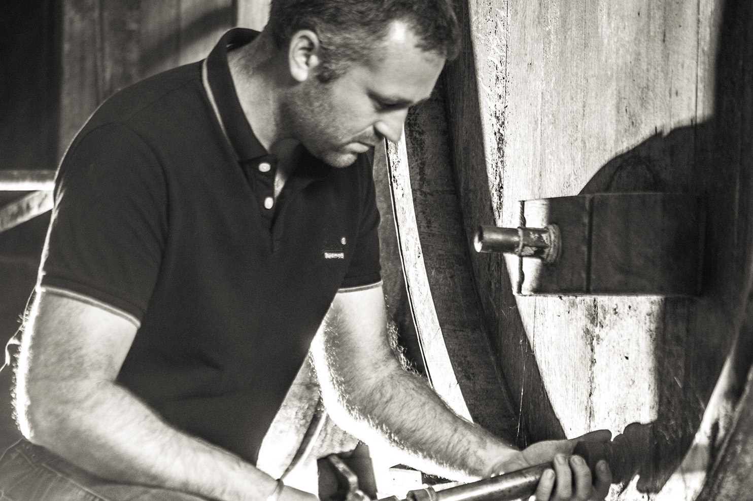 Alexis – Weingut